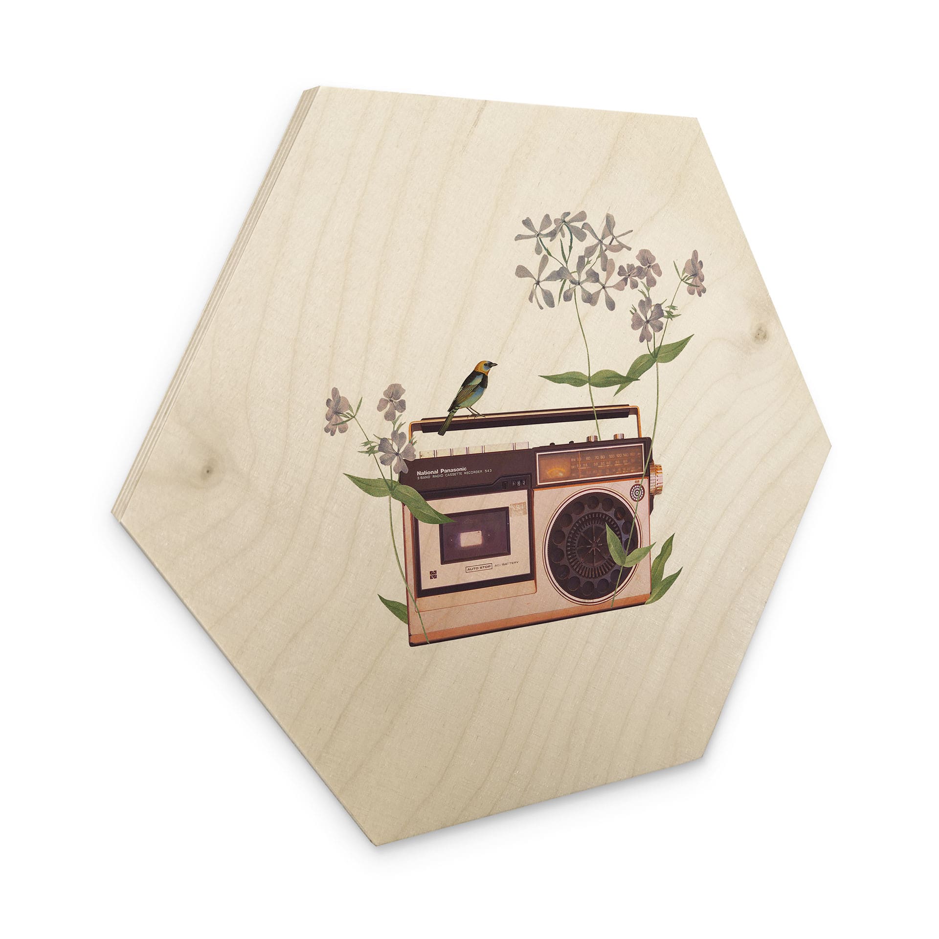 Hexagon-Holzbild Retro Radio floral - Frida Floral Studio