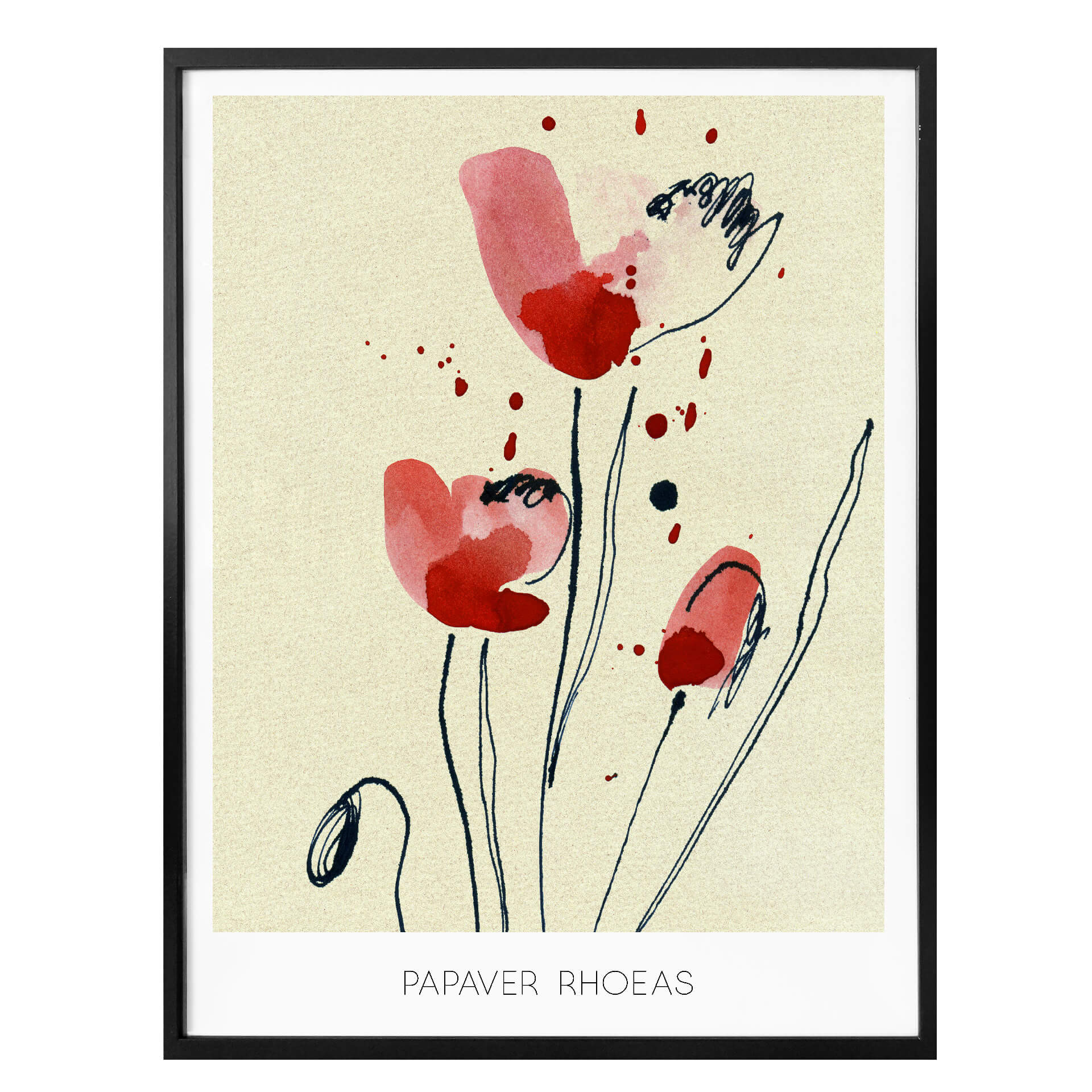 Plakat Papaver Rhoeas