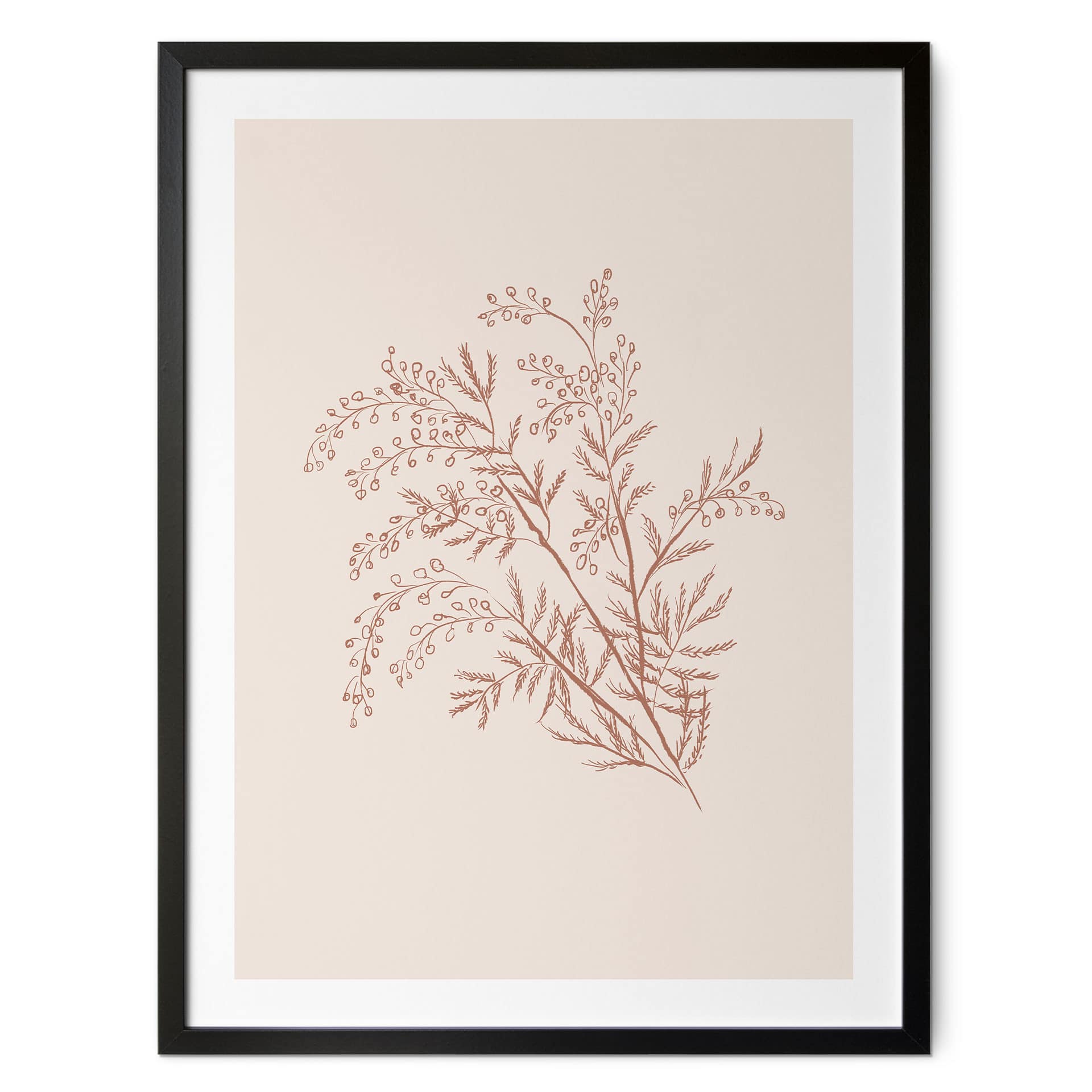 Poster Branche d'acacia couleur moka - Illustration d'anis