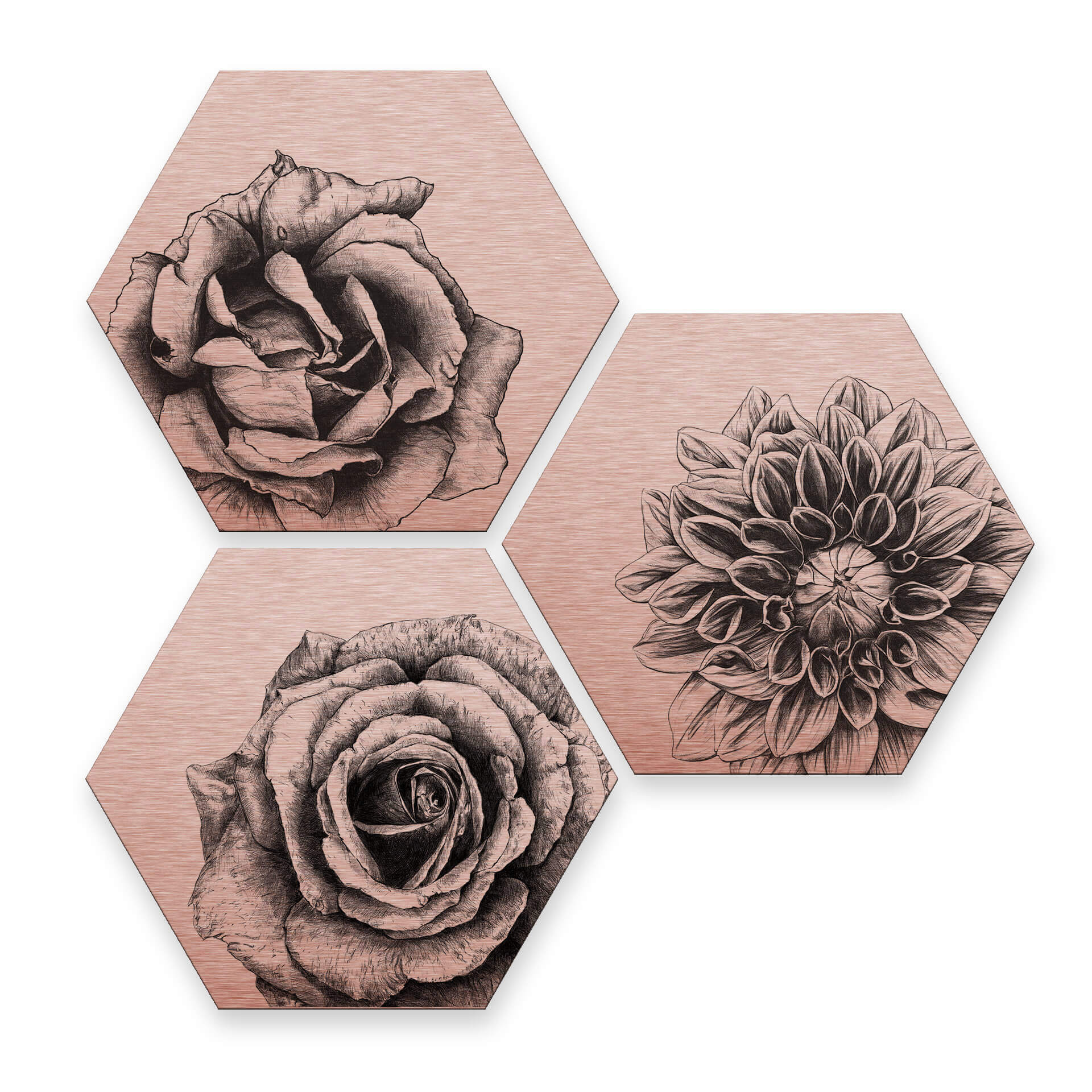 Hexagon - Alu-Dibond Kupfereffekt Kools - Flowery 3er Set