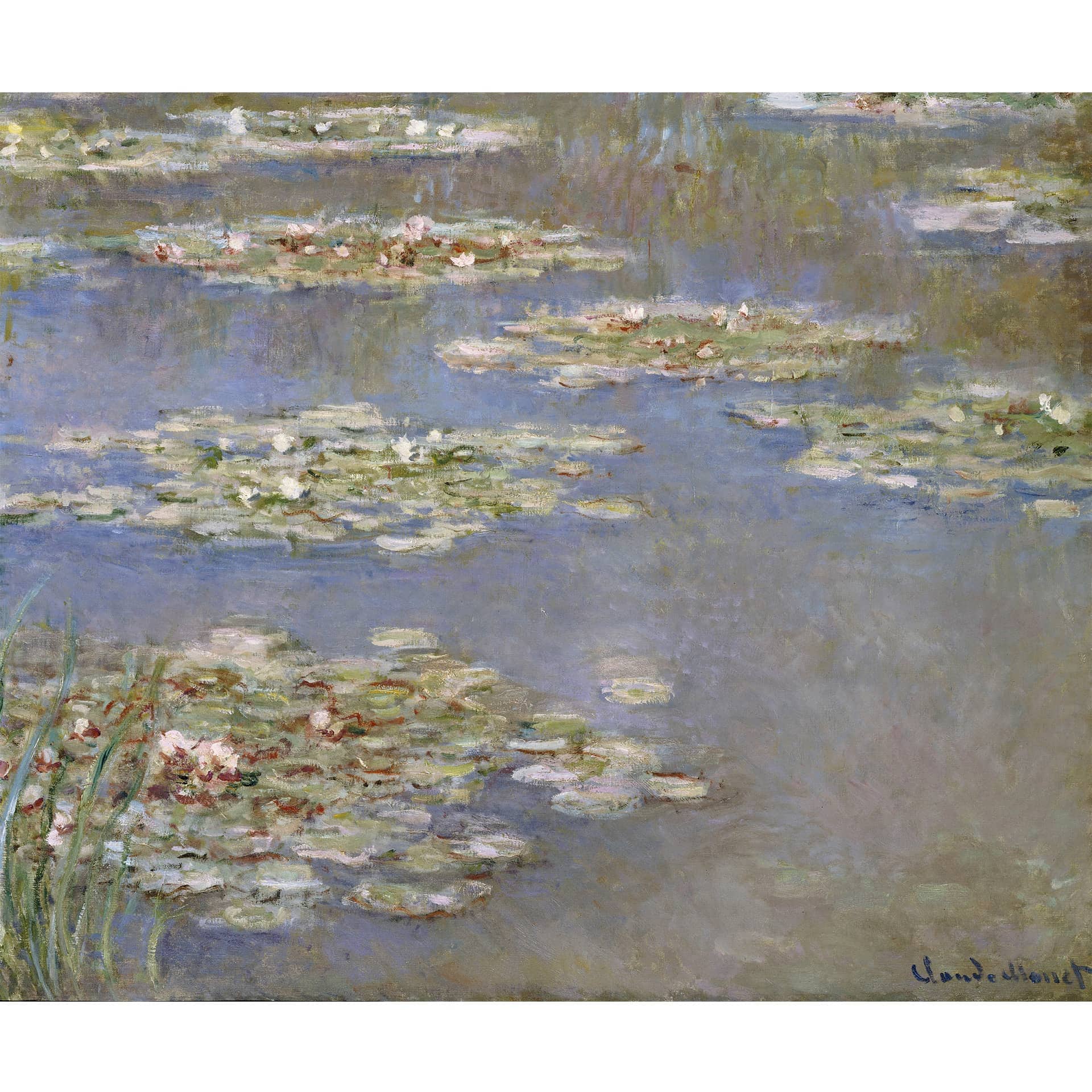 Fotobehang Monet - Waterlelies 1905