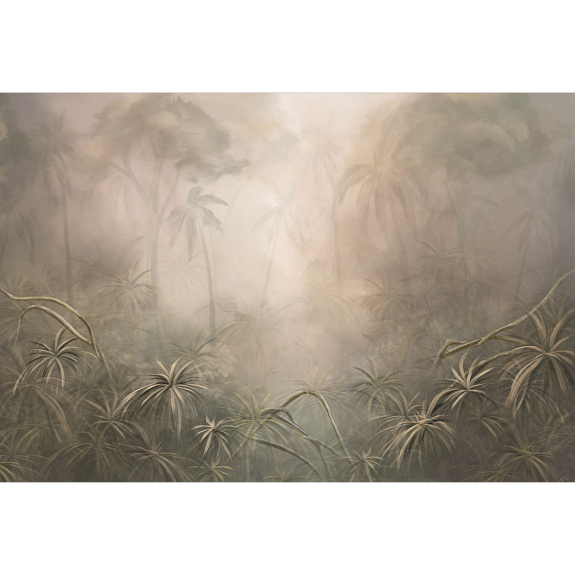 Jungle Fotobehang Mystiek regenwoud in de mist - Ms Tiff