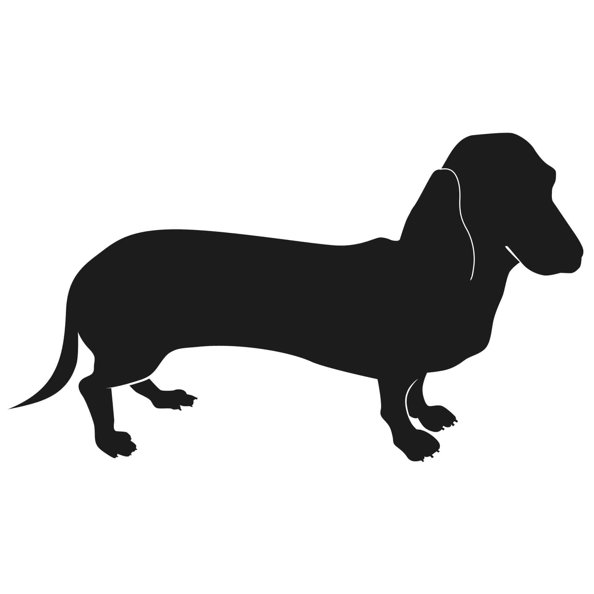 Wallsticker Gravhund 1