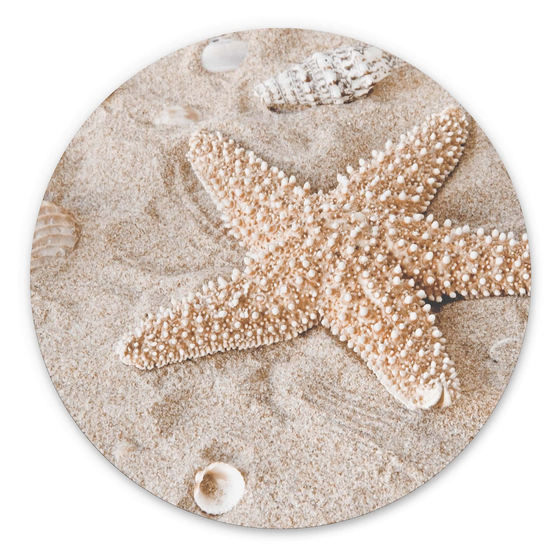 Tableau sur alu-Dibond rond Poisson-étoile dans la plage dorée