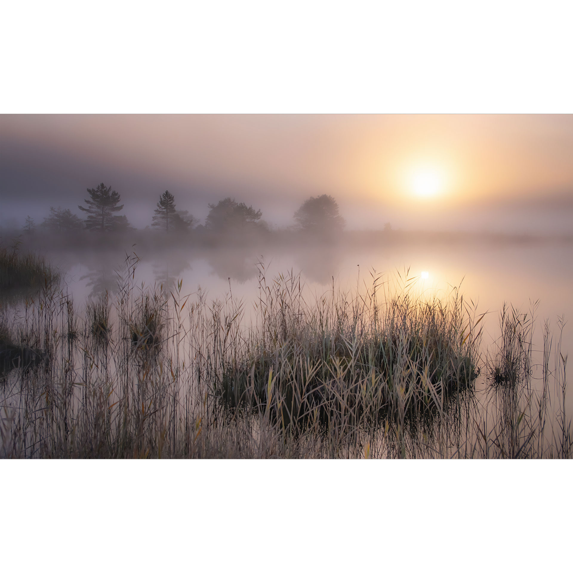 Nevelige herfstdag | Landschap behang - Eisenmann
