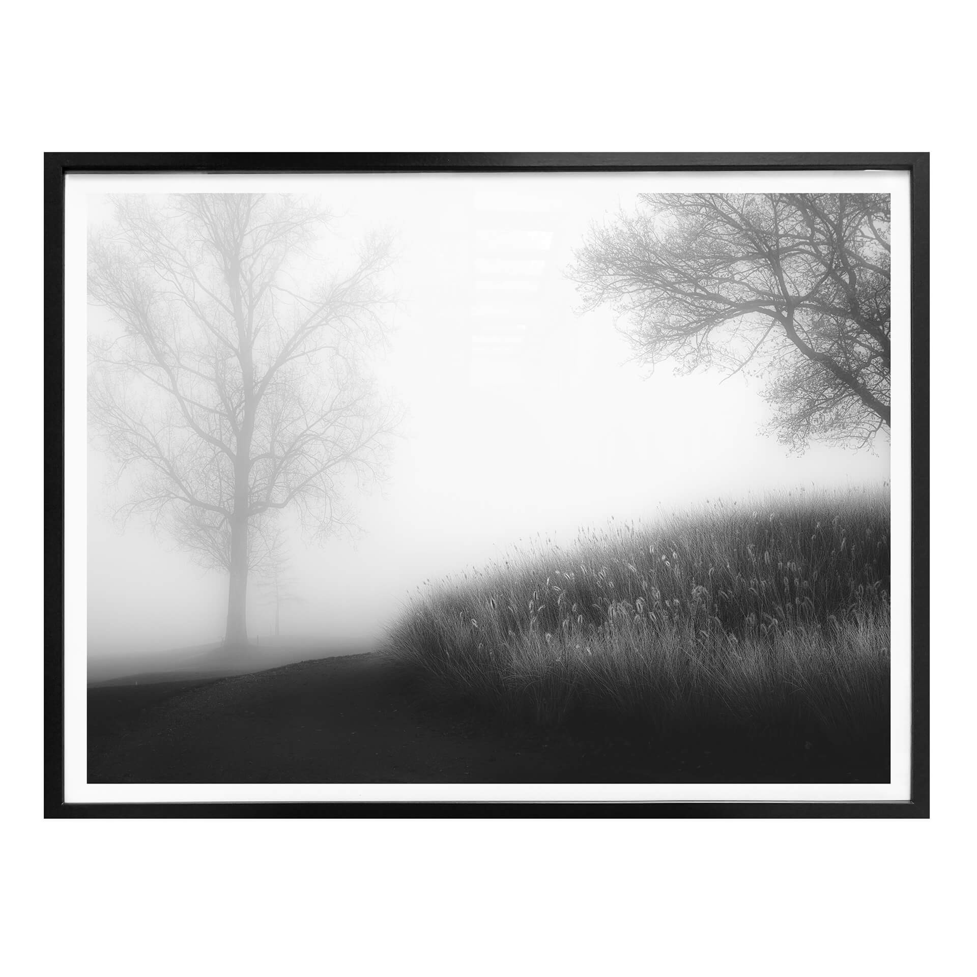Poster Huybrighs - Brume matinale