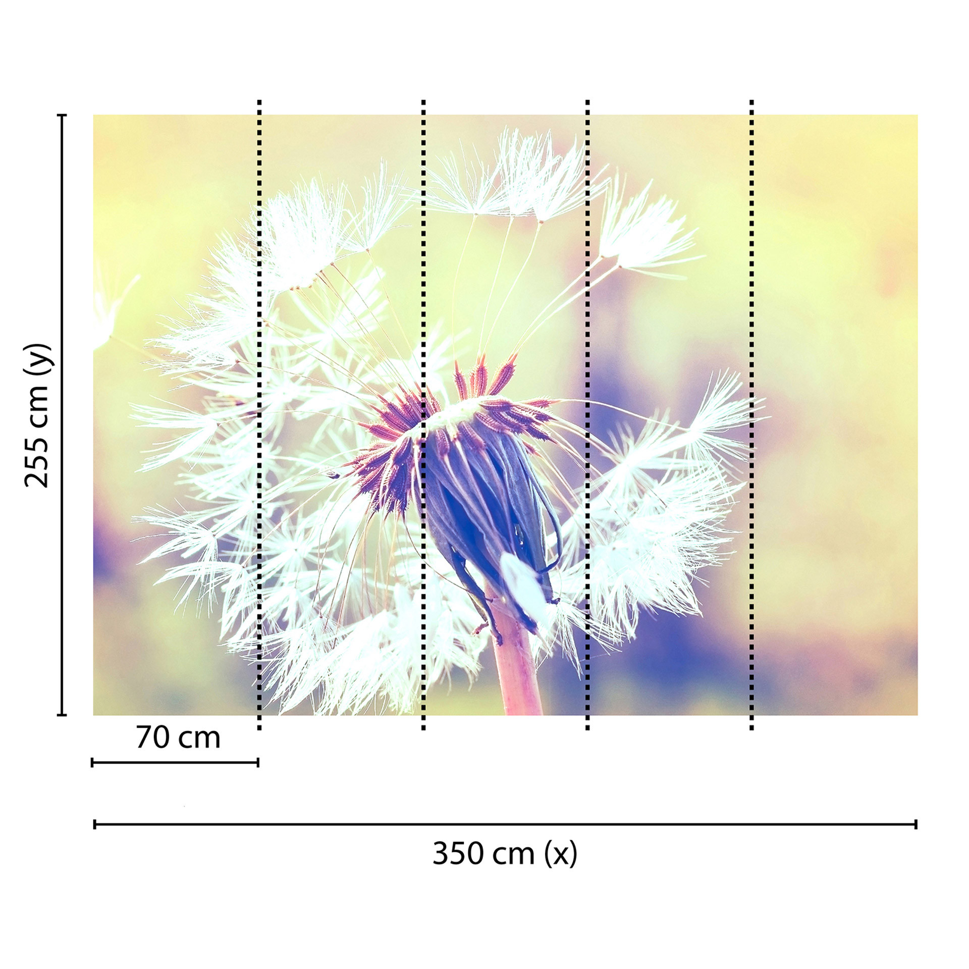 Livingwalls Fotobehang Designwalls Dandelion Flowers