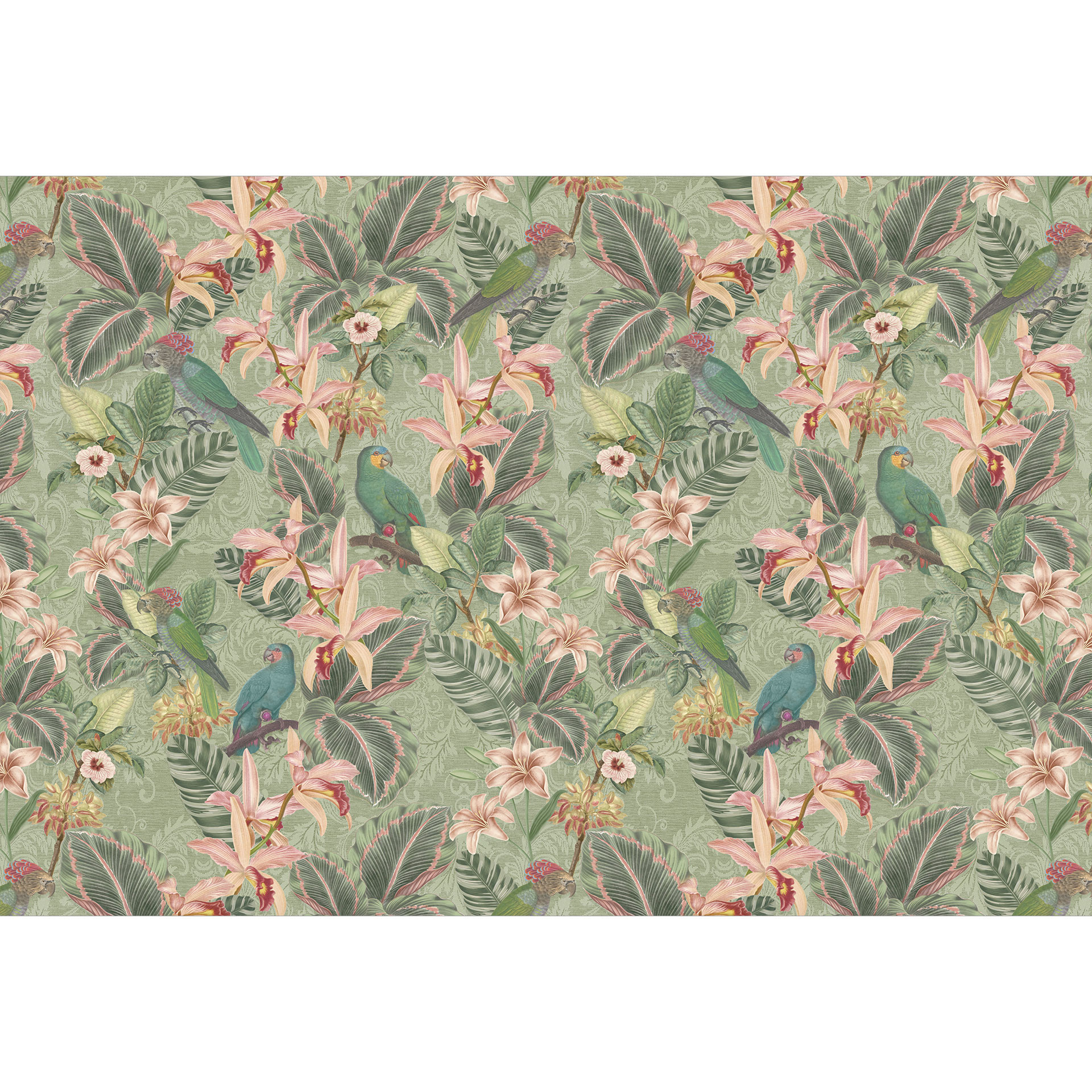 Jungle met papegaaien groen | Fotobehang - Bloomery Decor