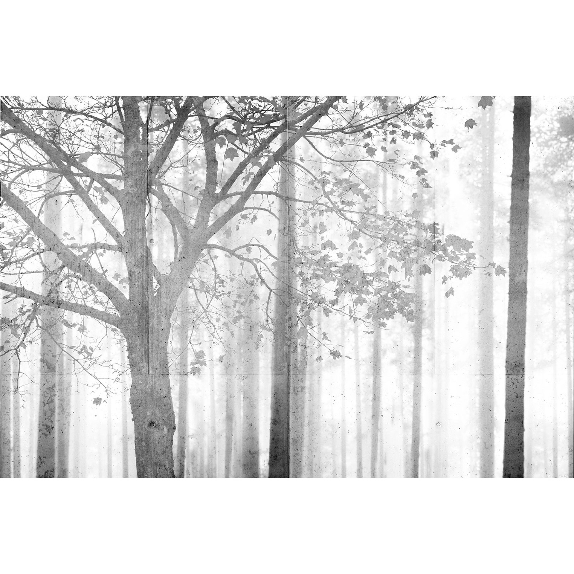 Architects Paper Fotobehang Atelier 47 Black & White Forest