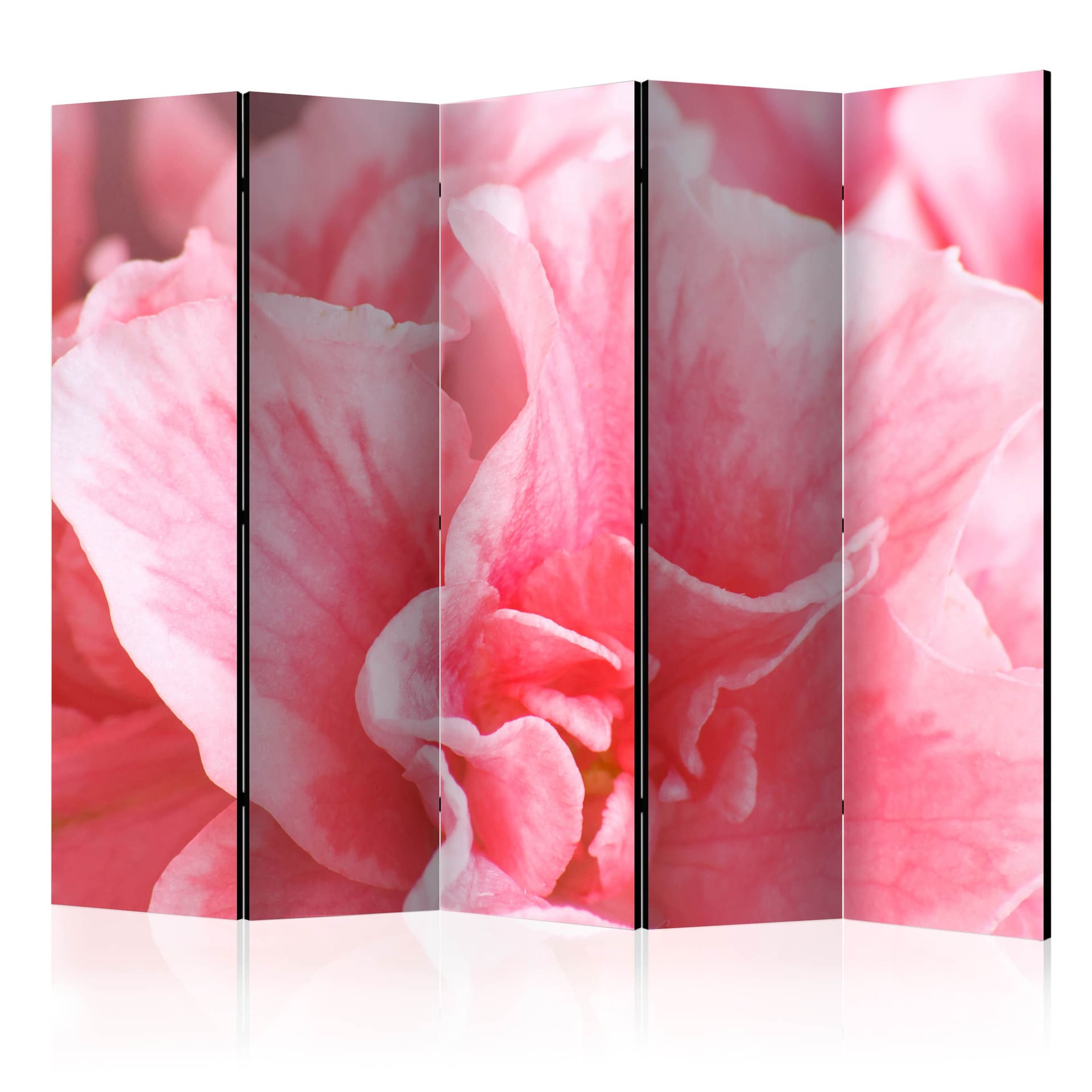 Rumdeler - Lyserøde azalea-blomster , 5-delt - 225x172 cm