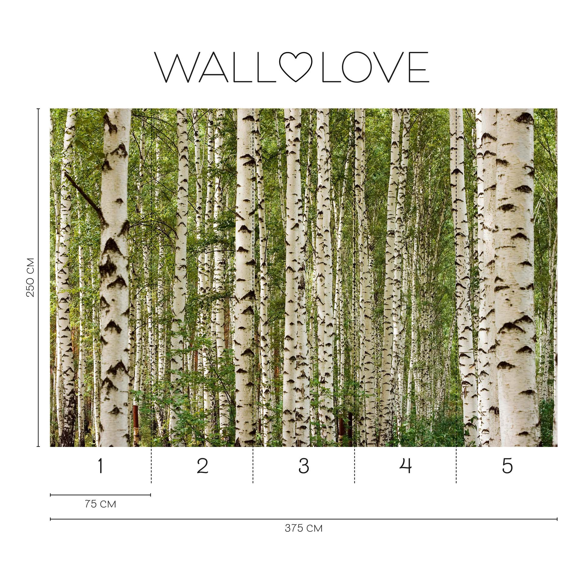 Fotobehang natuur groen wit - Vliesbehang 3,75 m x 2,50 m bosmotief