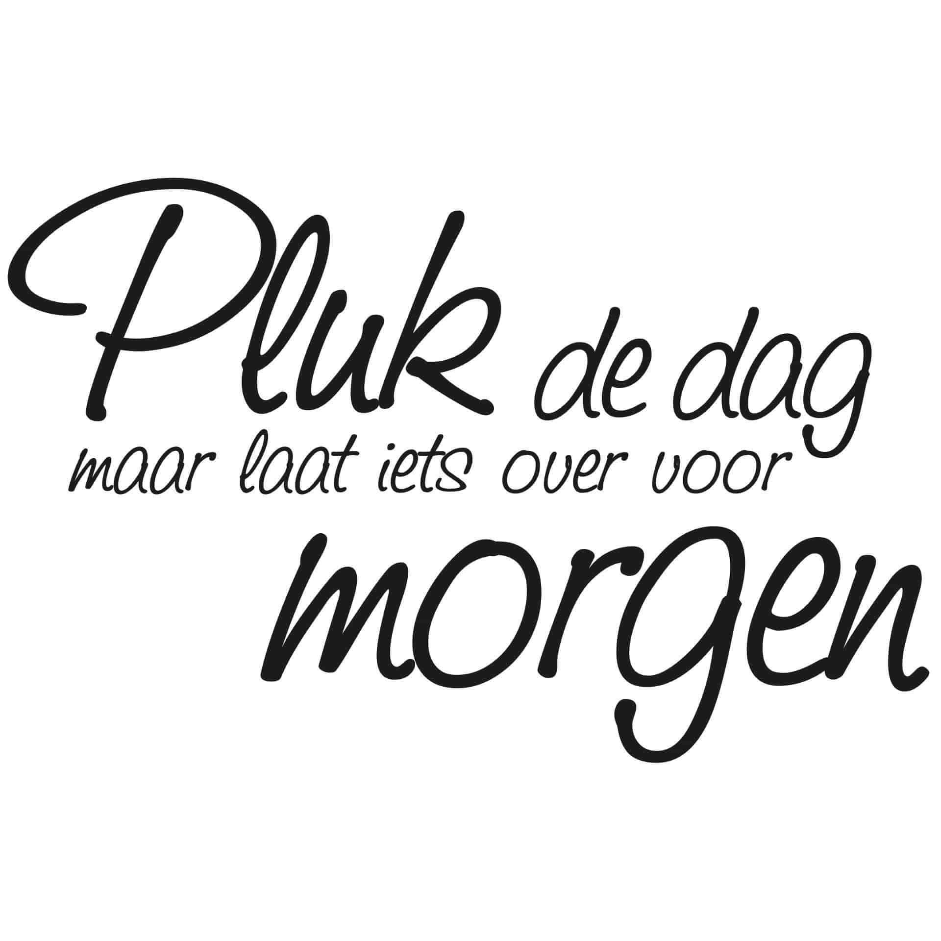 Wandtattoo Pluk de dag...