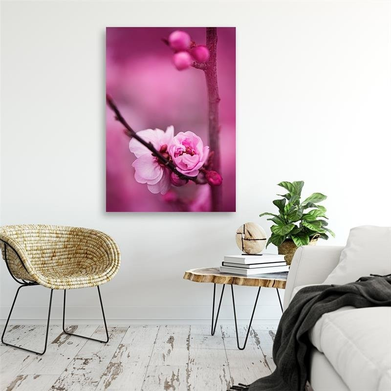Canvasbillede, Lyserøde blomstrende planter