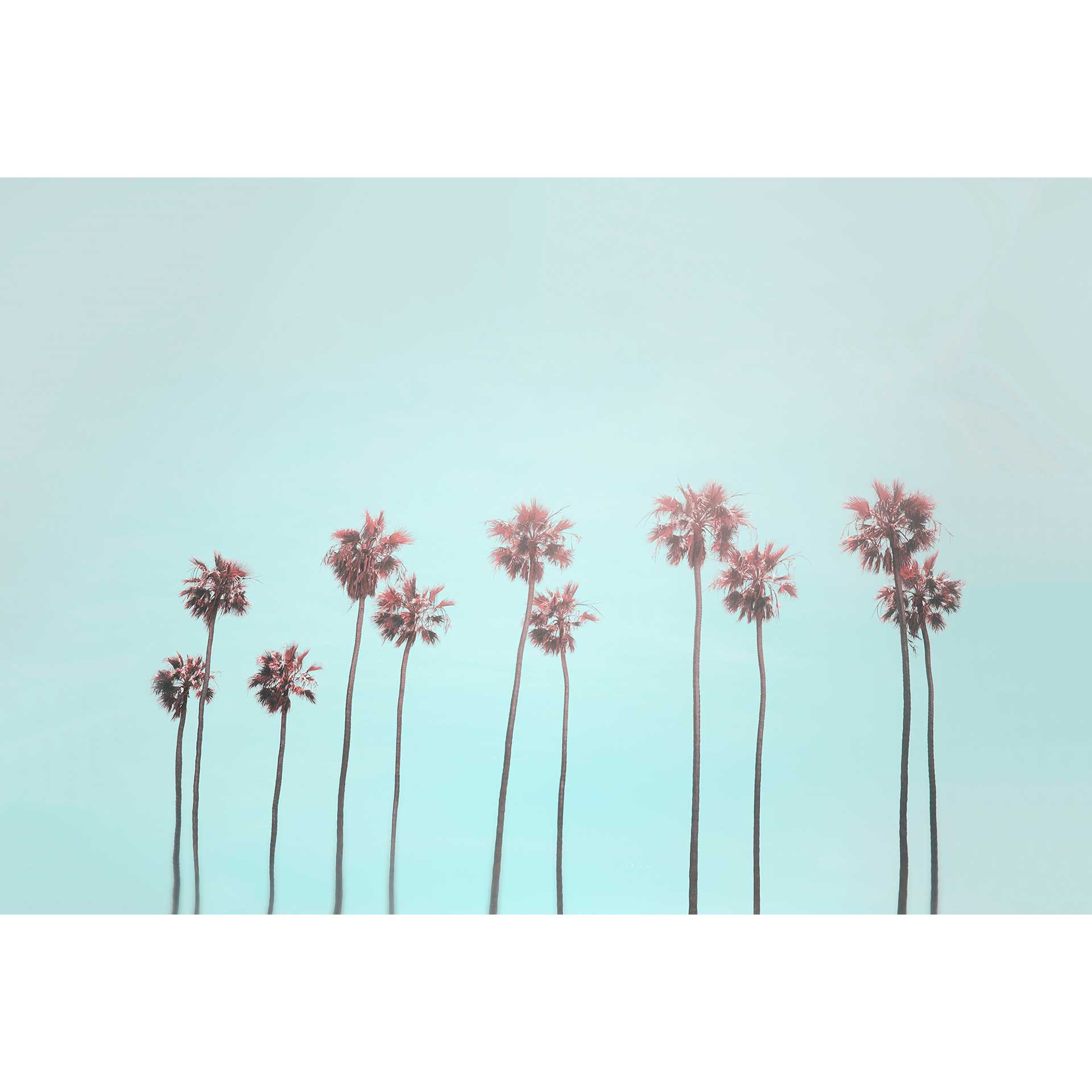 Livingwalls Fotobehang ARTist Tropical Breeze