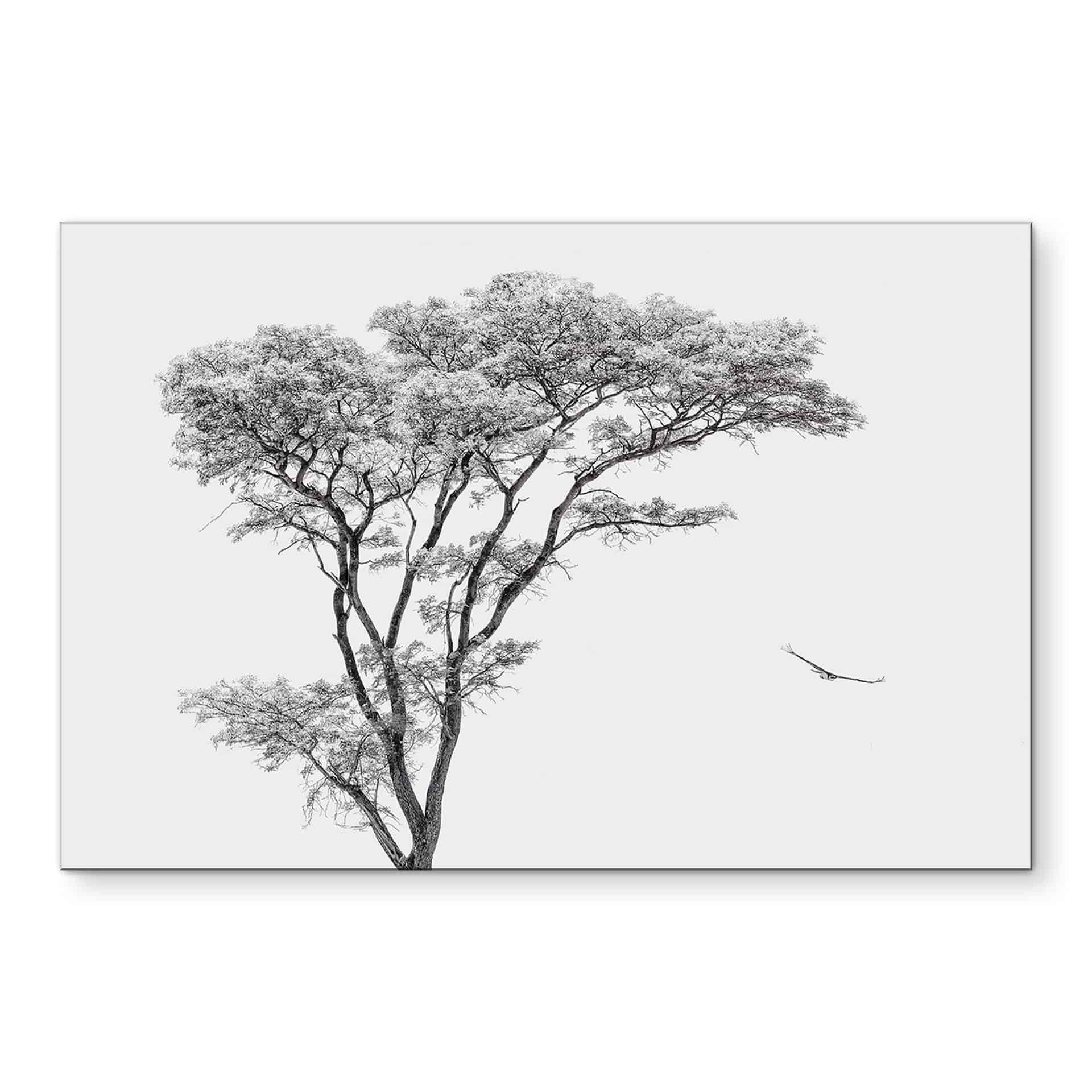 Wandbild Minimalistischer Baum in ruhiger Landschaft - Flour - Alu-Dibond