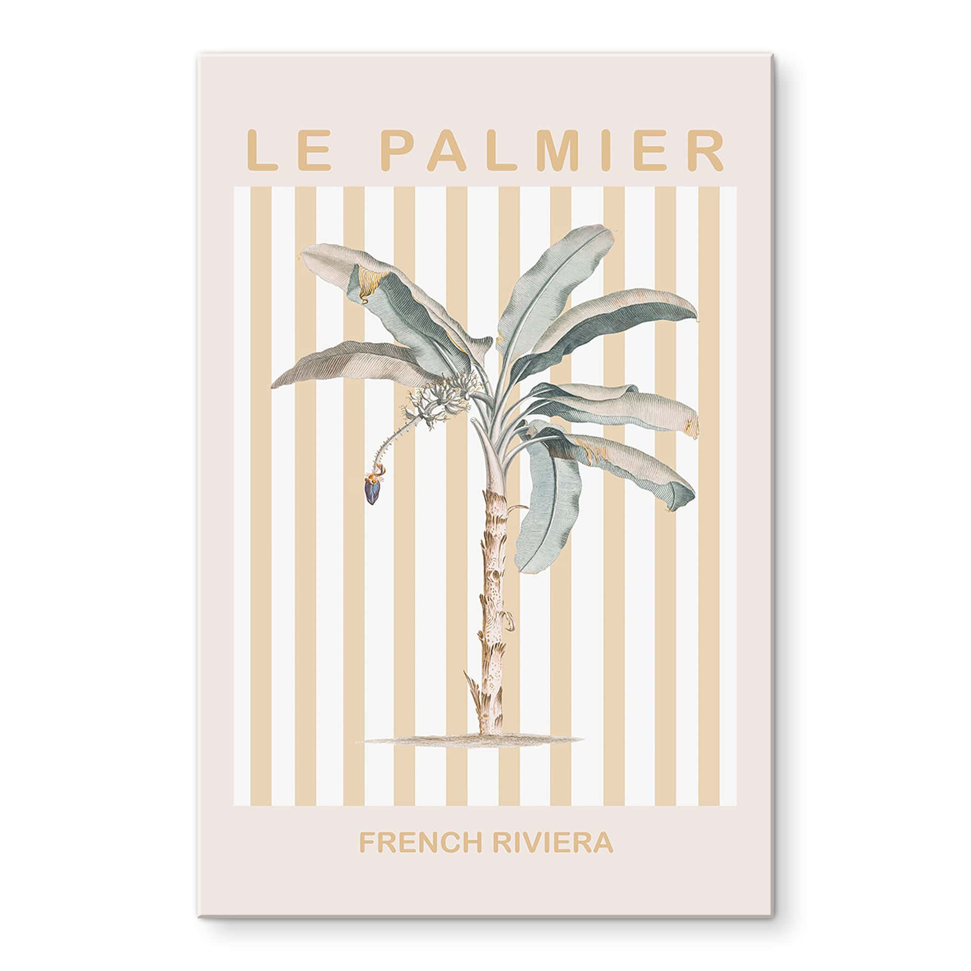 Akrylbillede Palmetræ på den franske riviera - Grace Digital Art