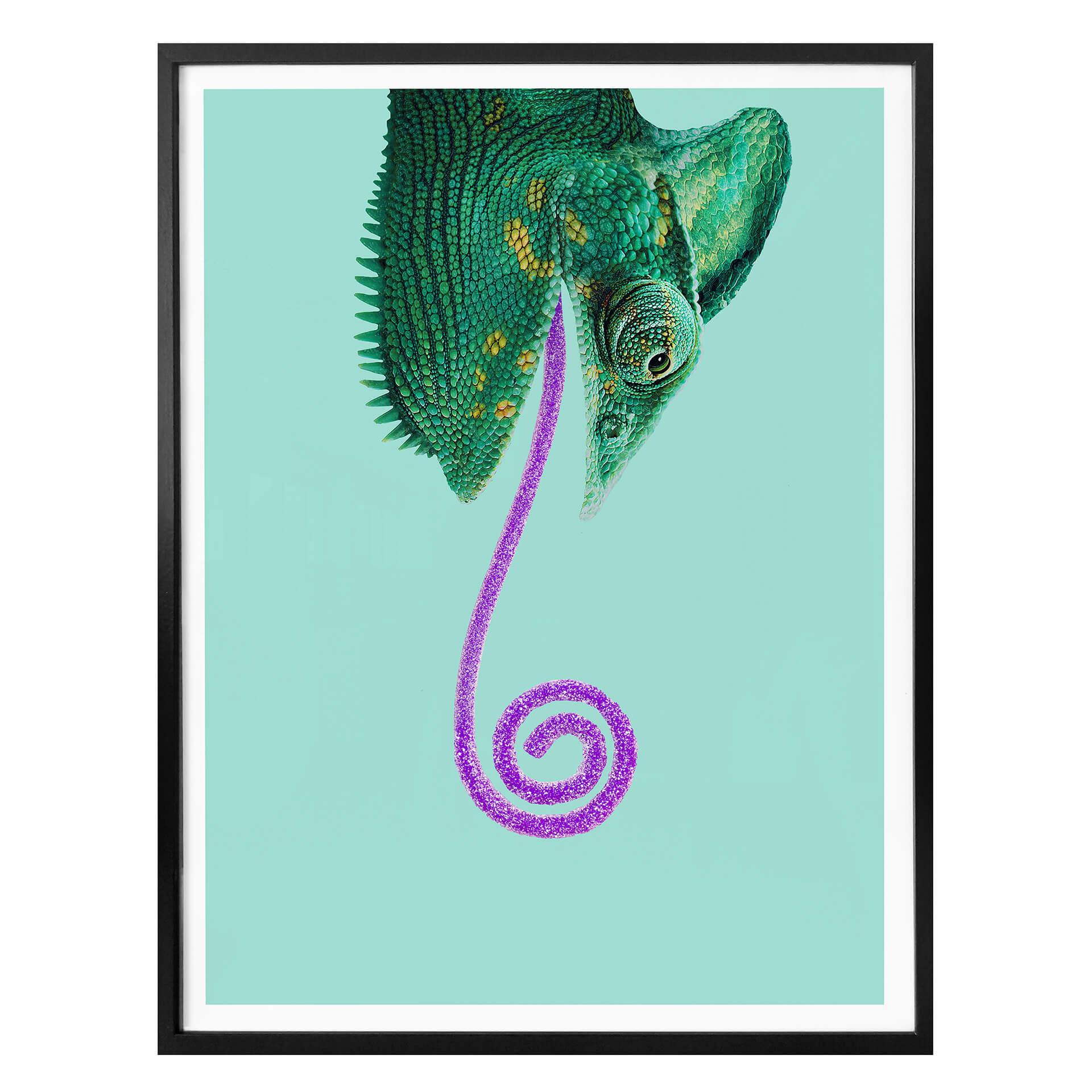 Plakat Loose - Cukierkowy kameleon