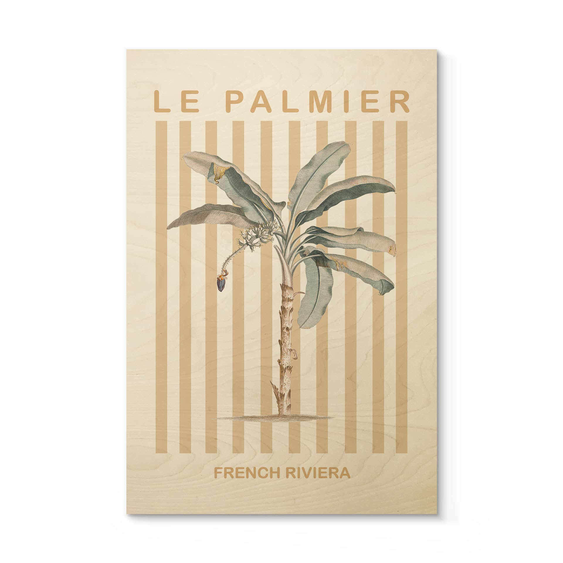 Plakat drewniany palma na Riwierze Francuskiej - Grace Digital Art