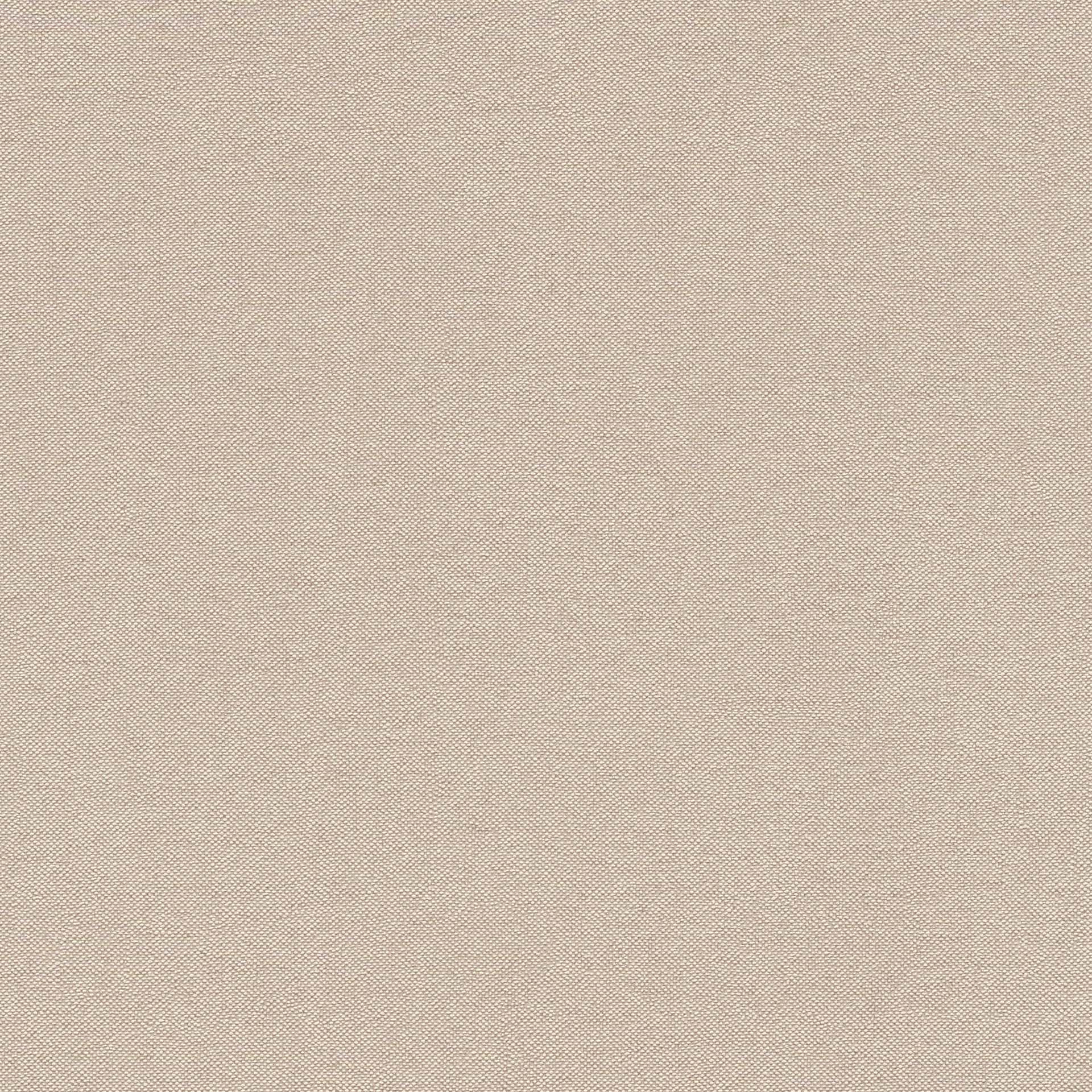 Próbki