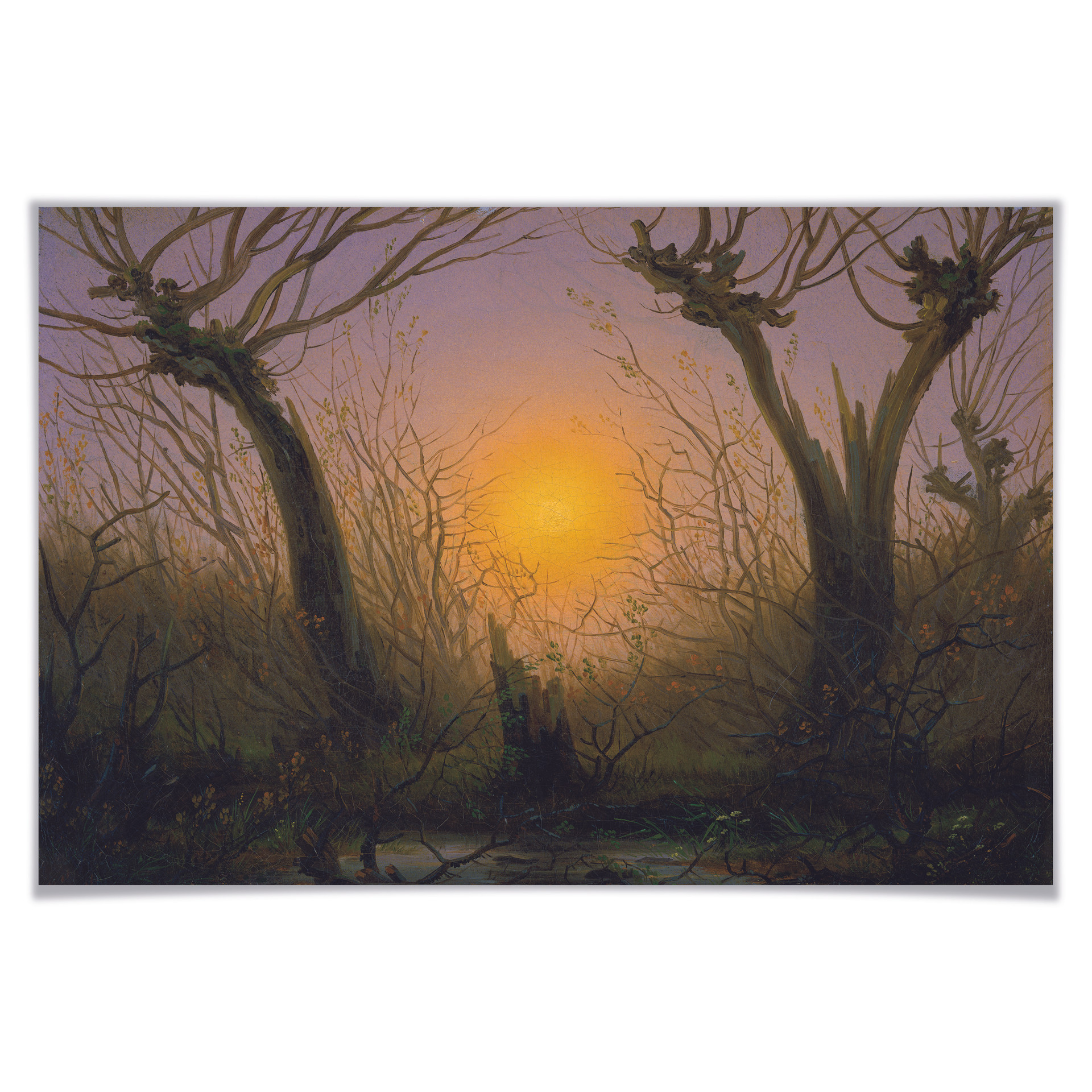 Poster Friedrich - Waldlandschaft bei tiefstehender Sonne