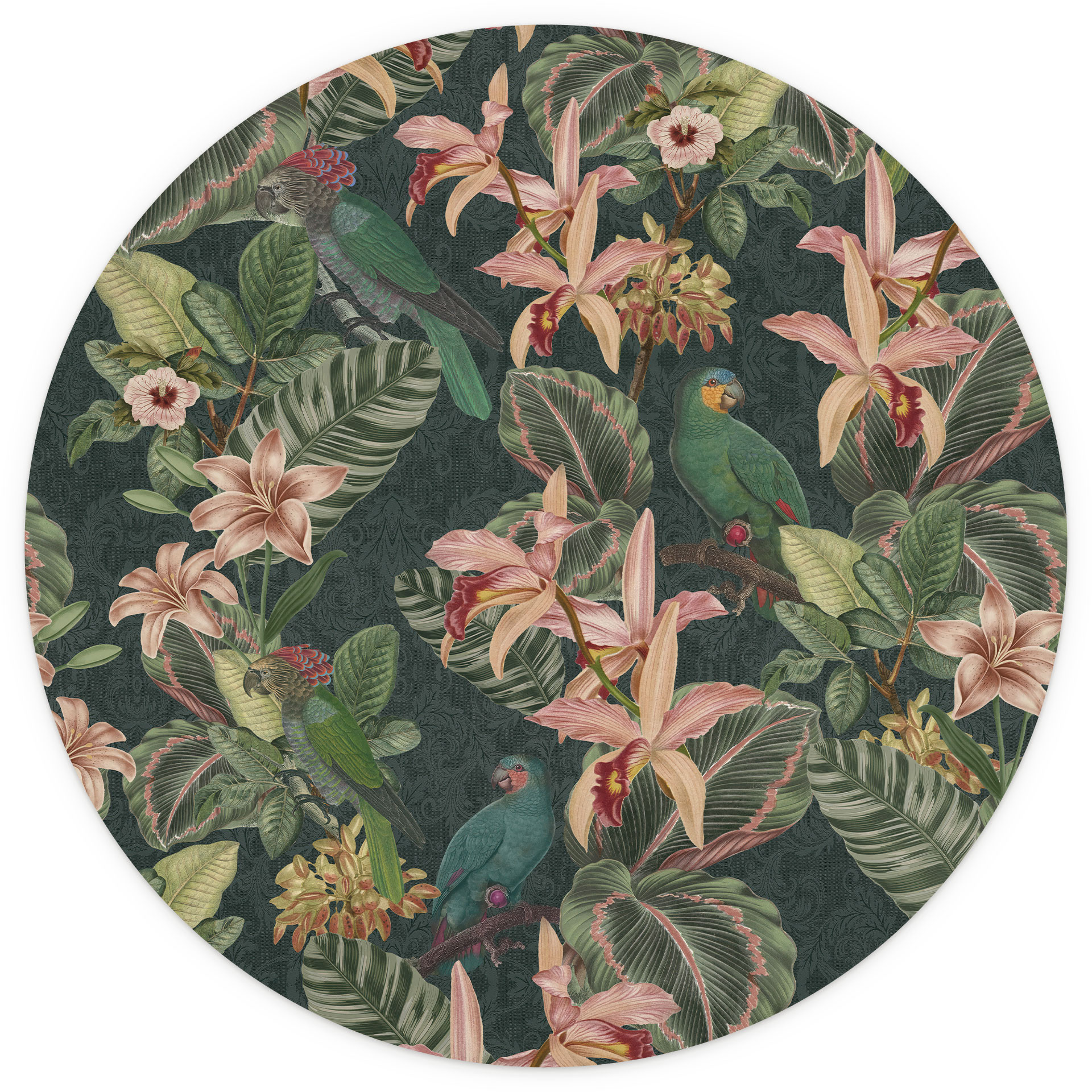 Jungle met papegaaien Fotobehang - Bloemdecor - Rond - Zelfklevend/niet-geweven