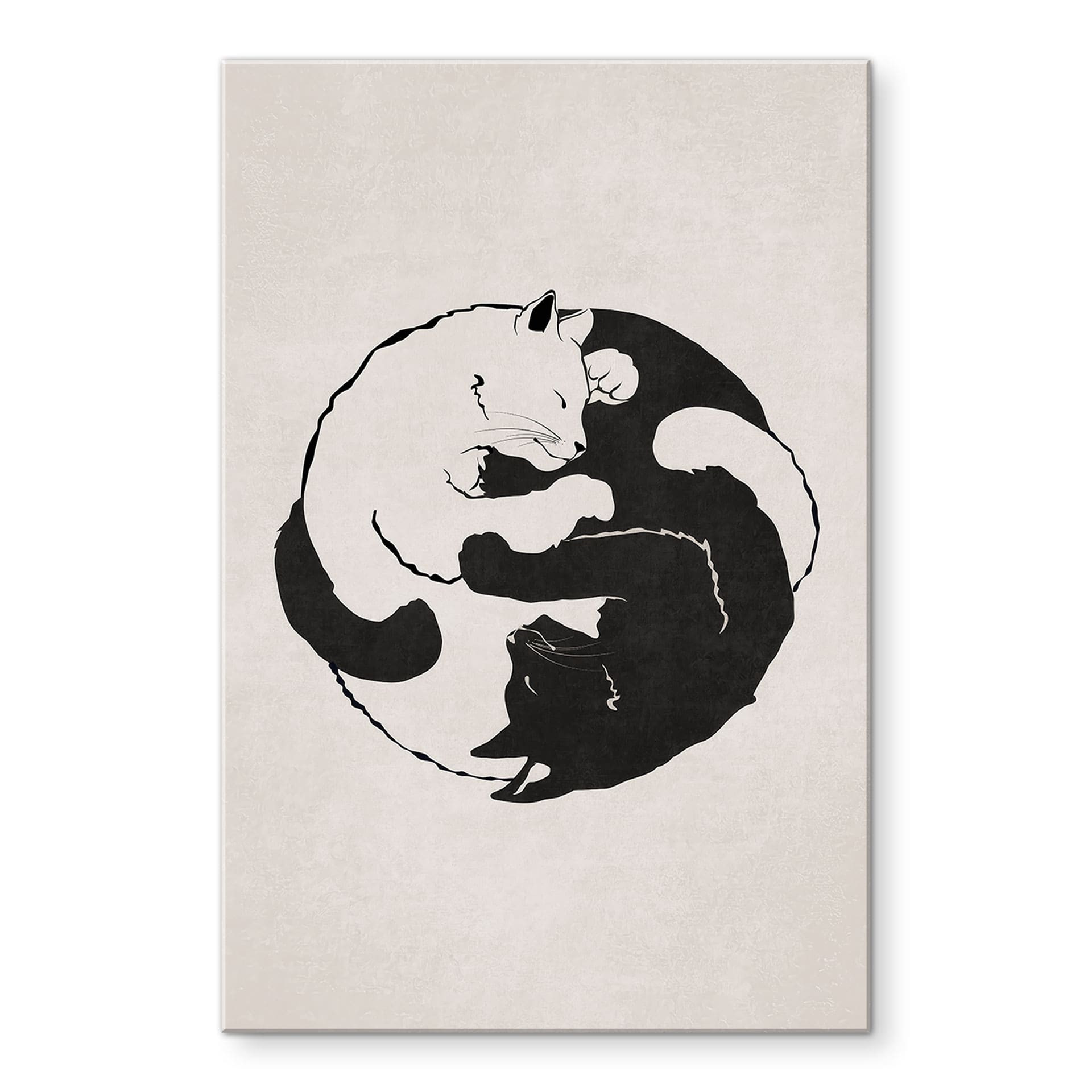 Akrylbillede Katte Ying & Yang - Tunaboylu