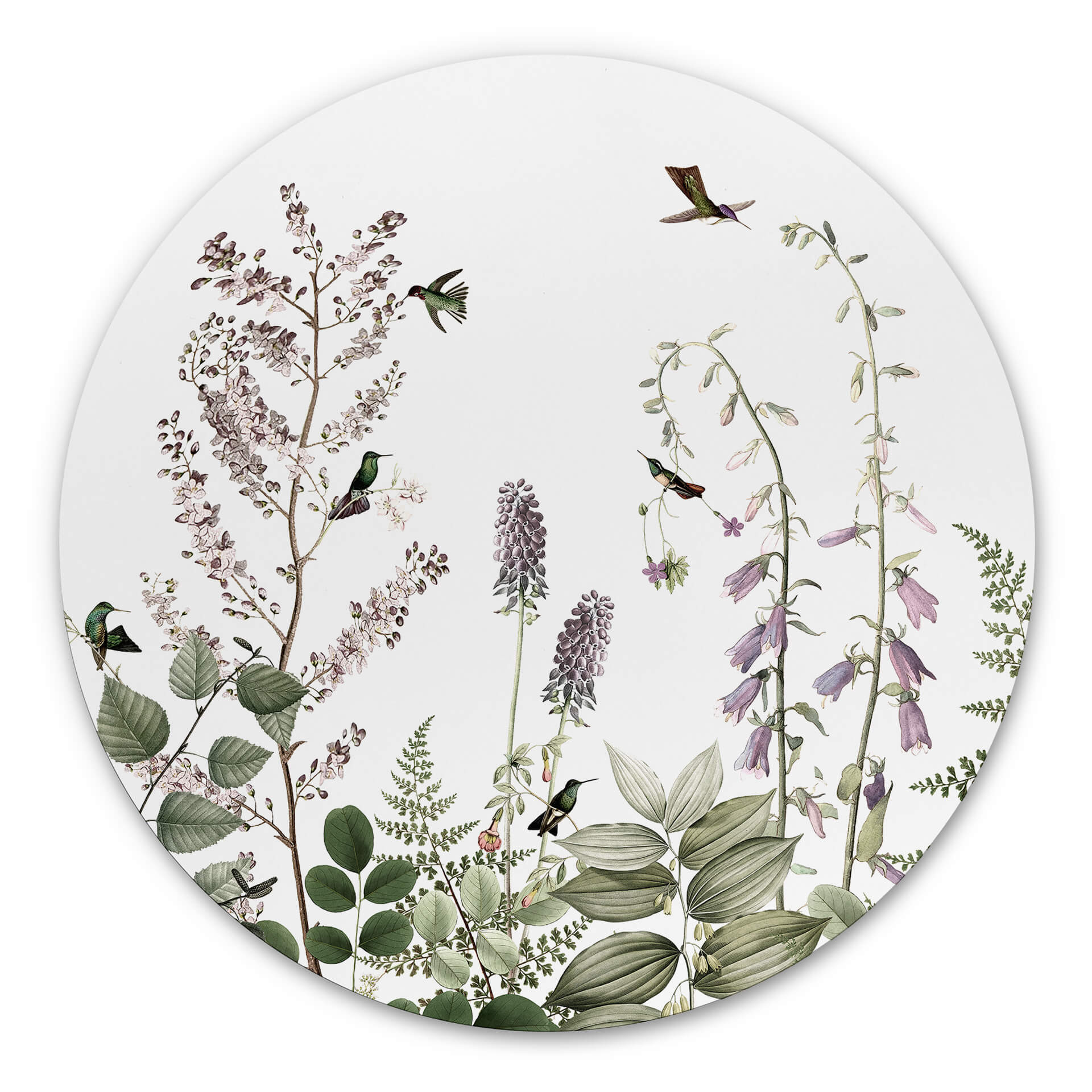 Tableau sur alu-Dibond rond Sir Edward - Colibris dans le jardin