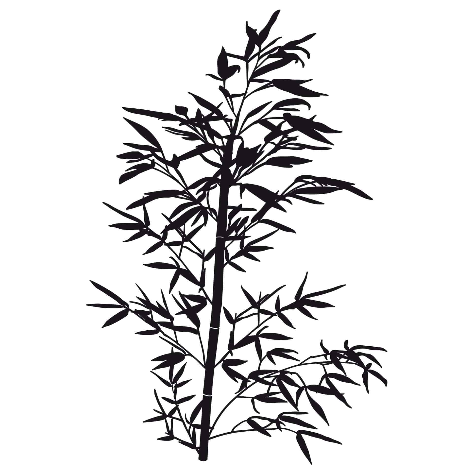 Wallsticker Bambus Plante