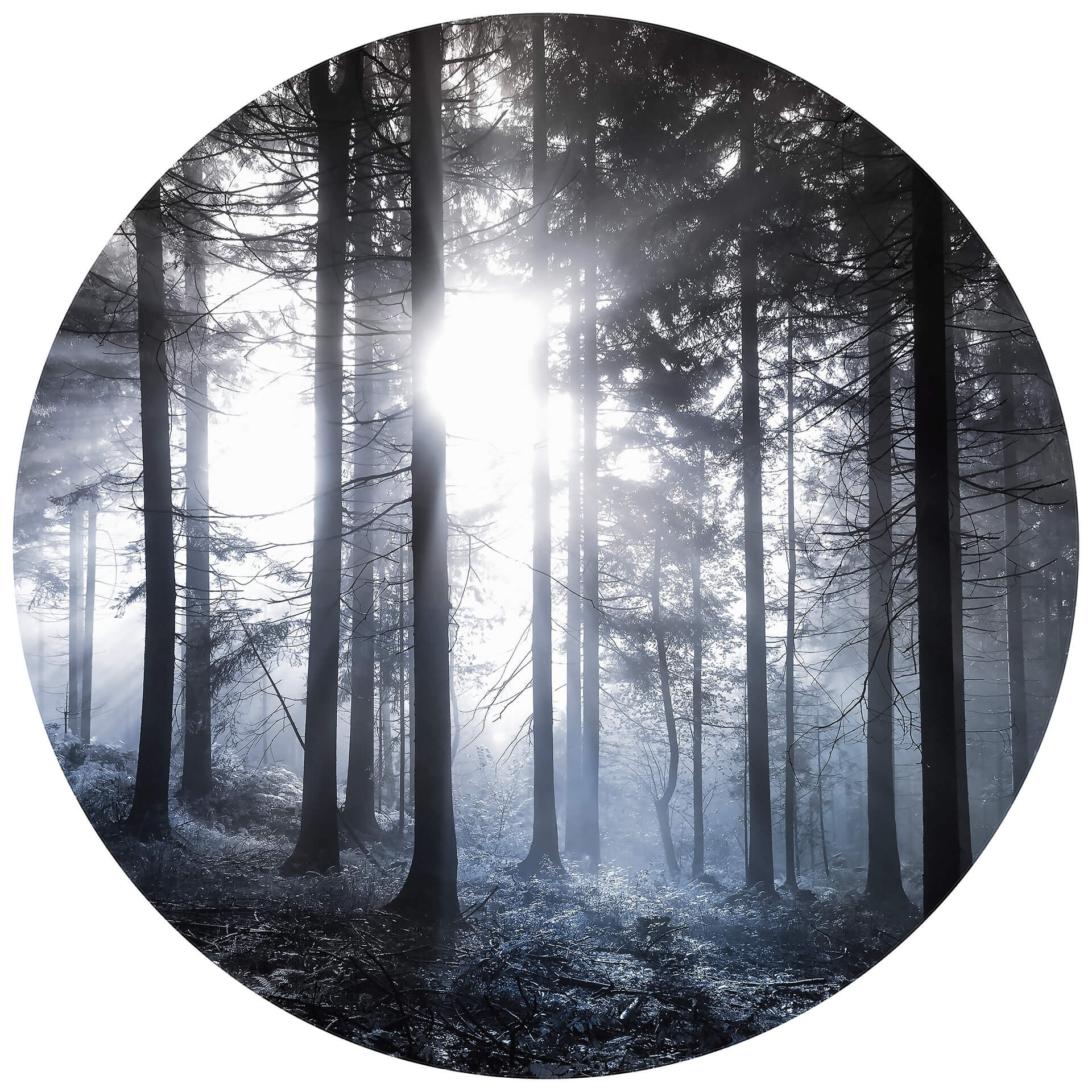 Behangcirkel Zonnestralen in het Bos - vliesbehang/zelfklevend vliesbehang