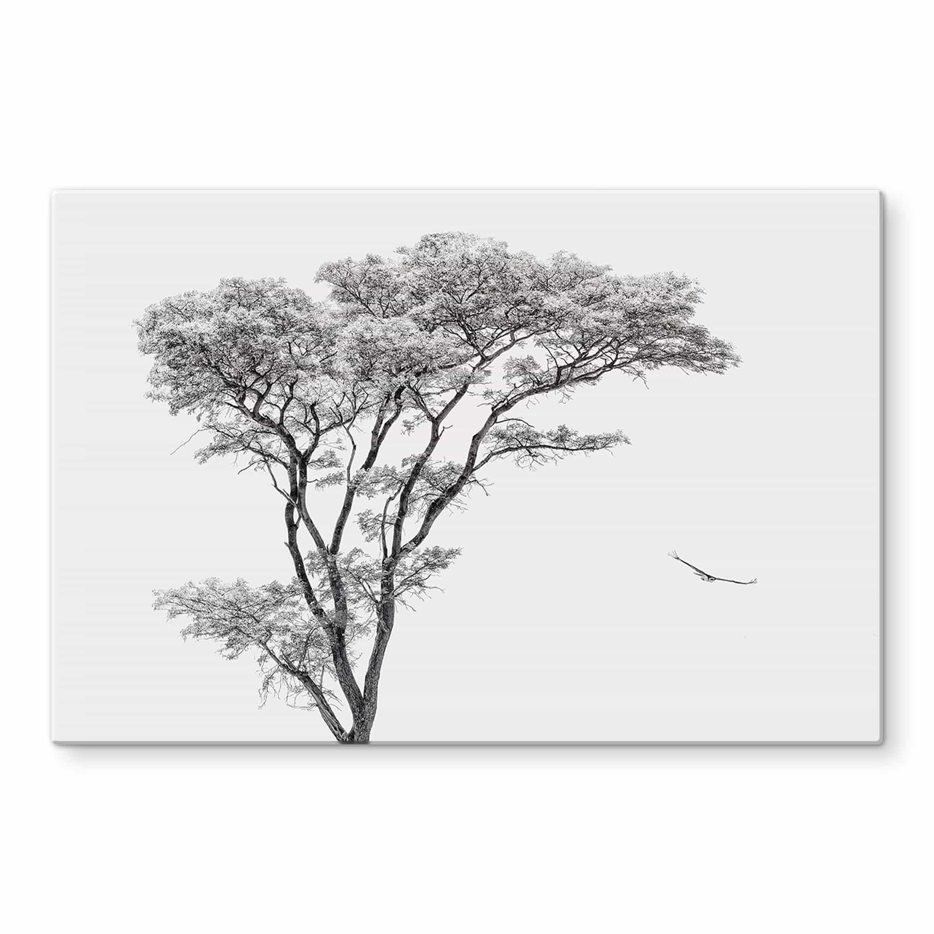 Glasbild Minimalistischer Baum in ruhiger Landschaft - Flour