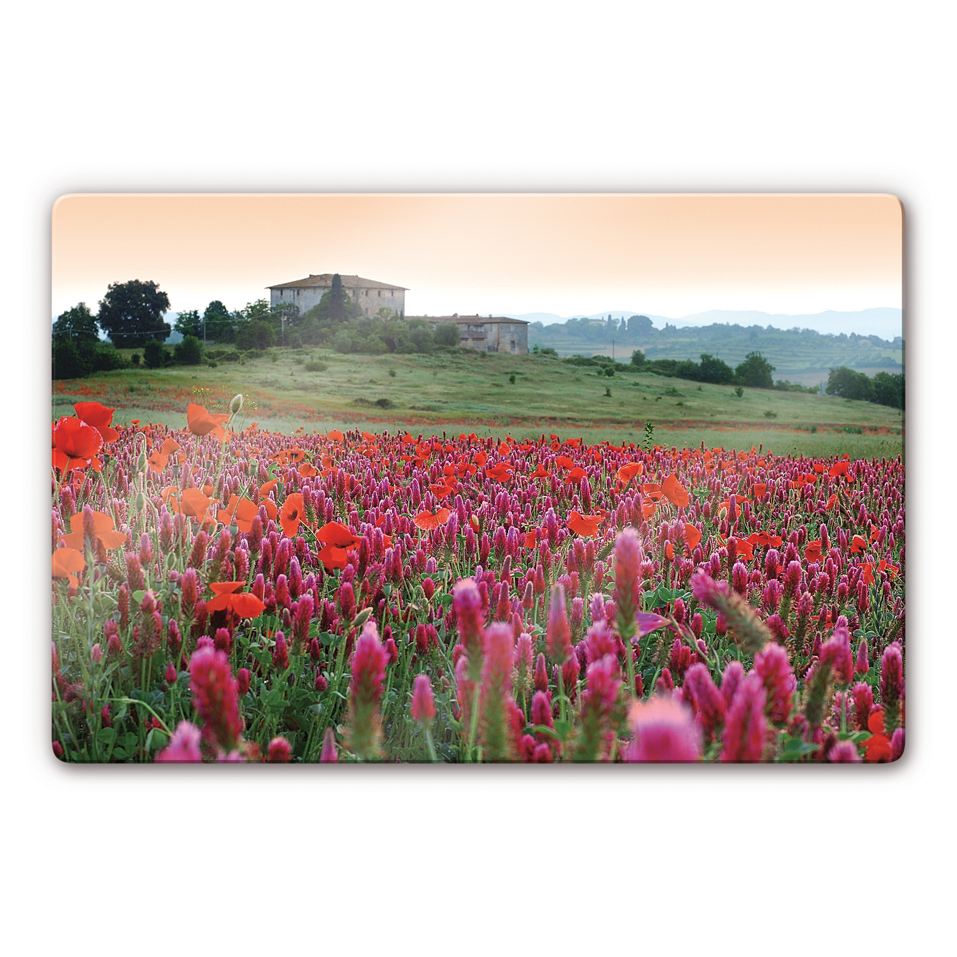 Glasbillede - Blomstereng i Toscana