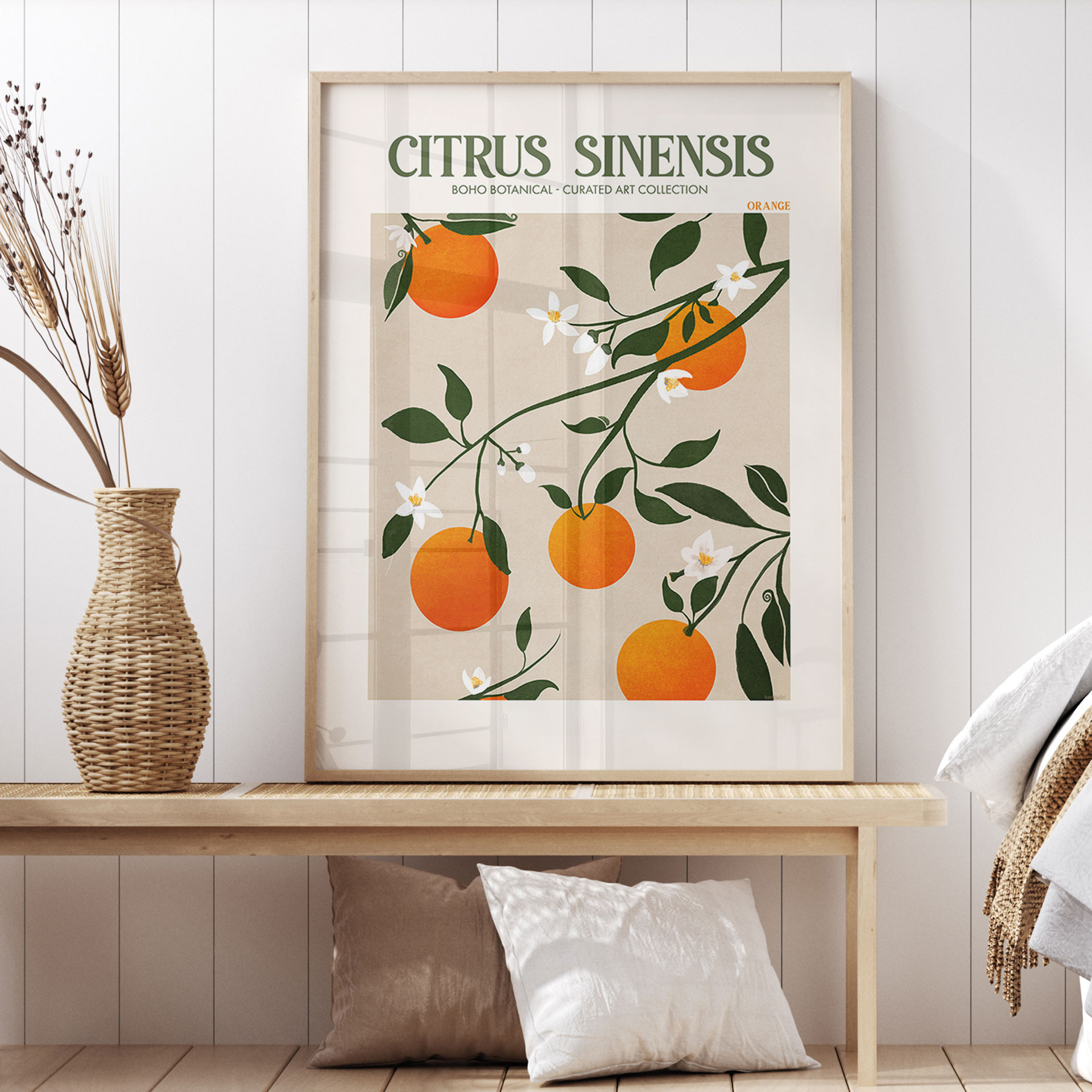 Plakat Boho Drzewko Pomarańczowe - Citrus Sinensis - Tunaboylu