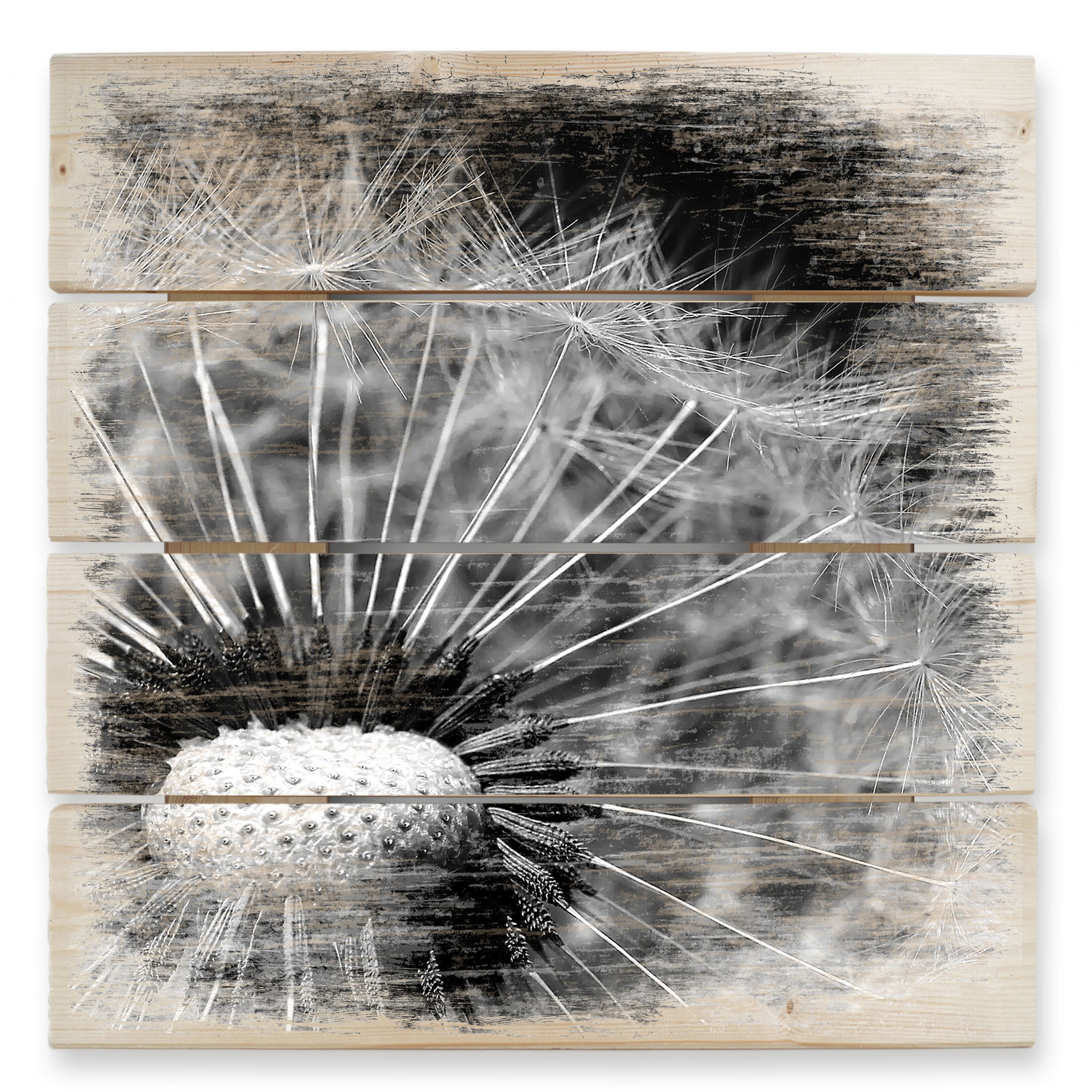 Obraz drewniany Dandelion - 40x41,5 cm