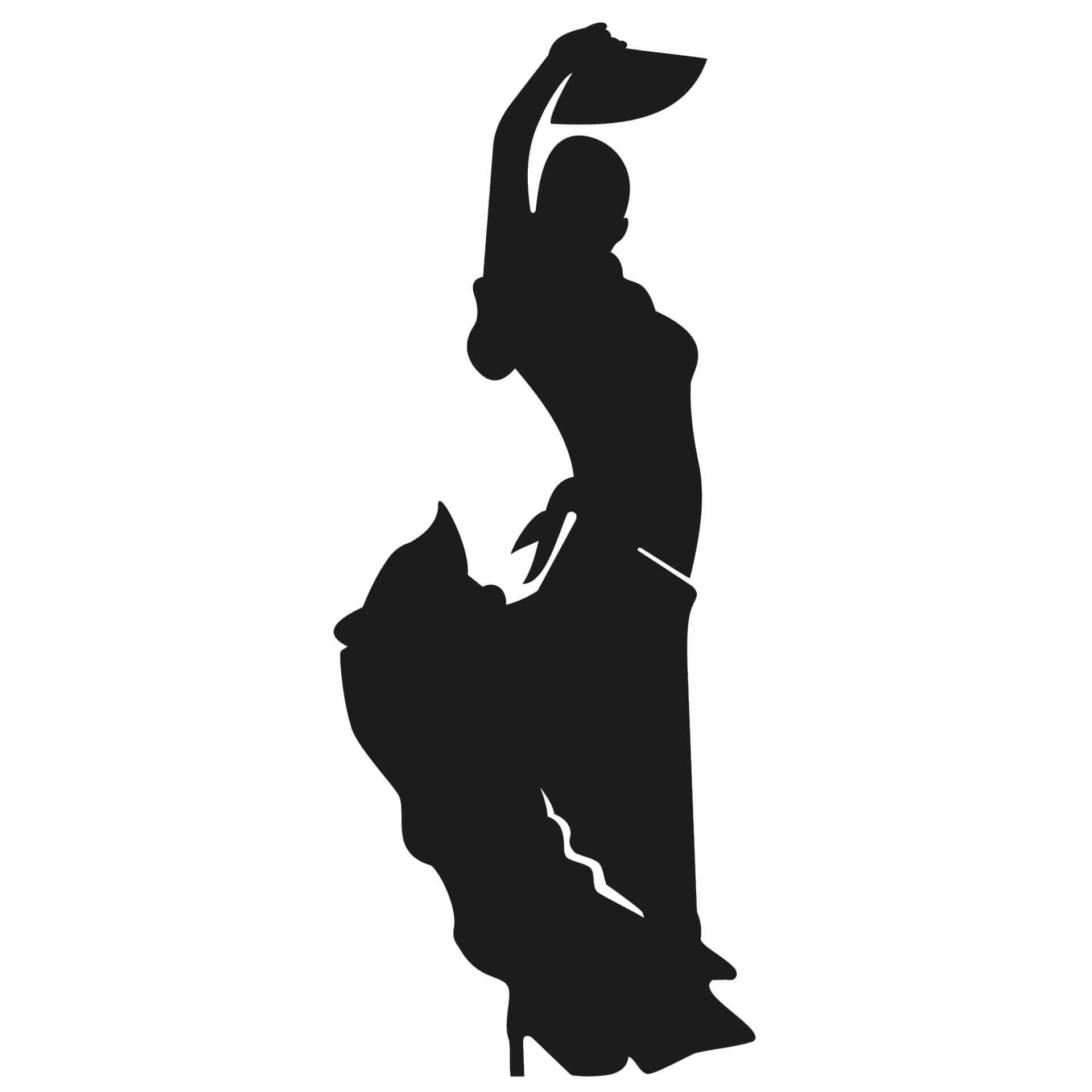 Wallsticker Flamenco 1