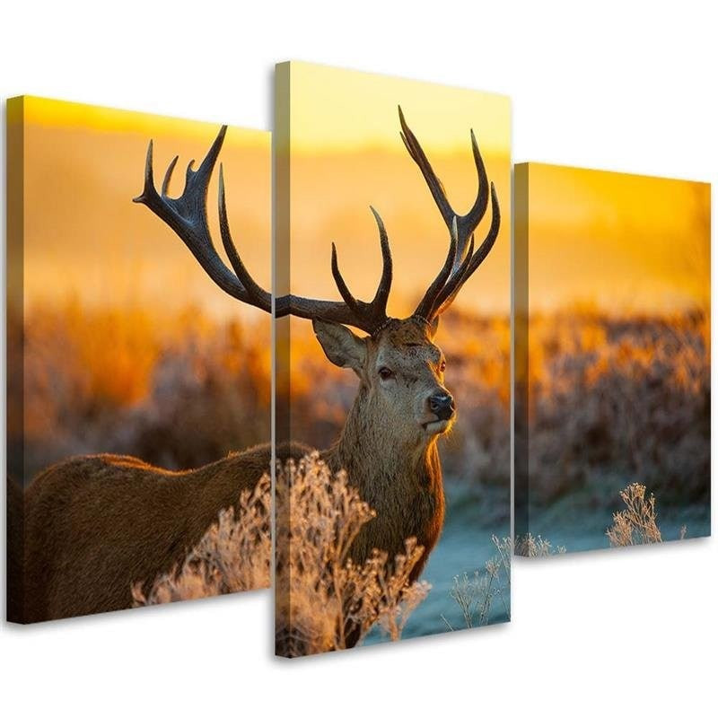 3 stykke lærredstryk Hjortedyrs solnedgang natur
