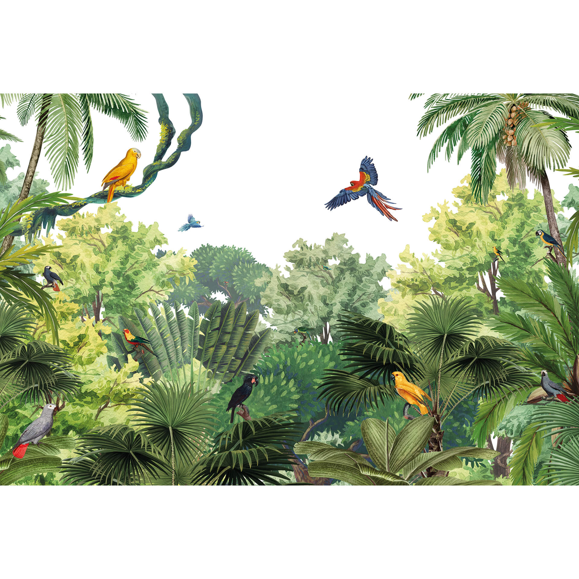 Fotobehang Kikki Belle - Tropical Birds