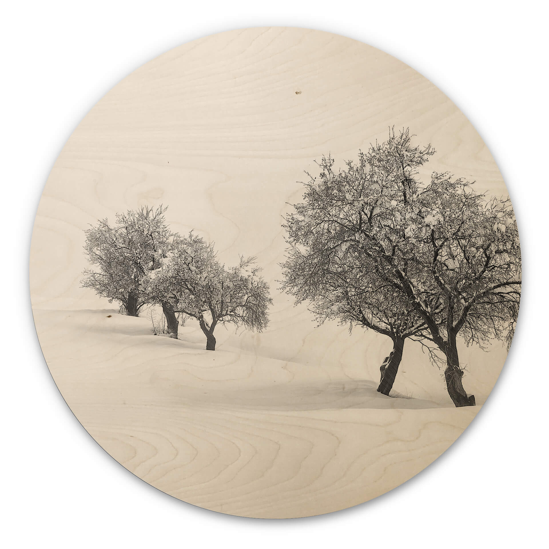 Stampa su legno Carrillo Lopez - Paesaggio innevato