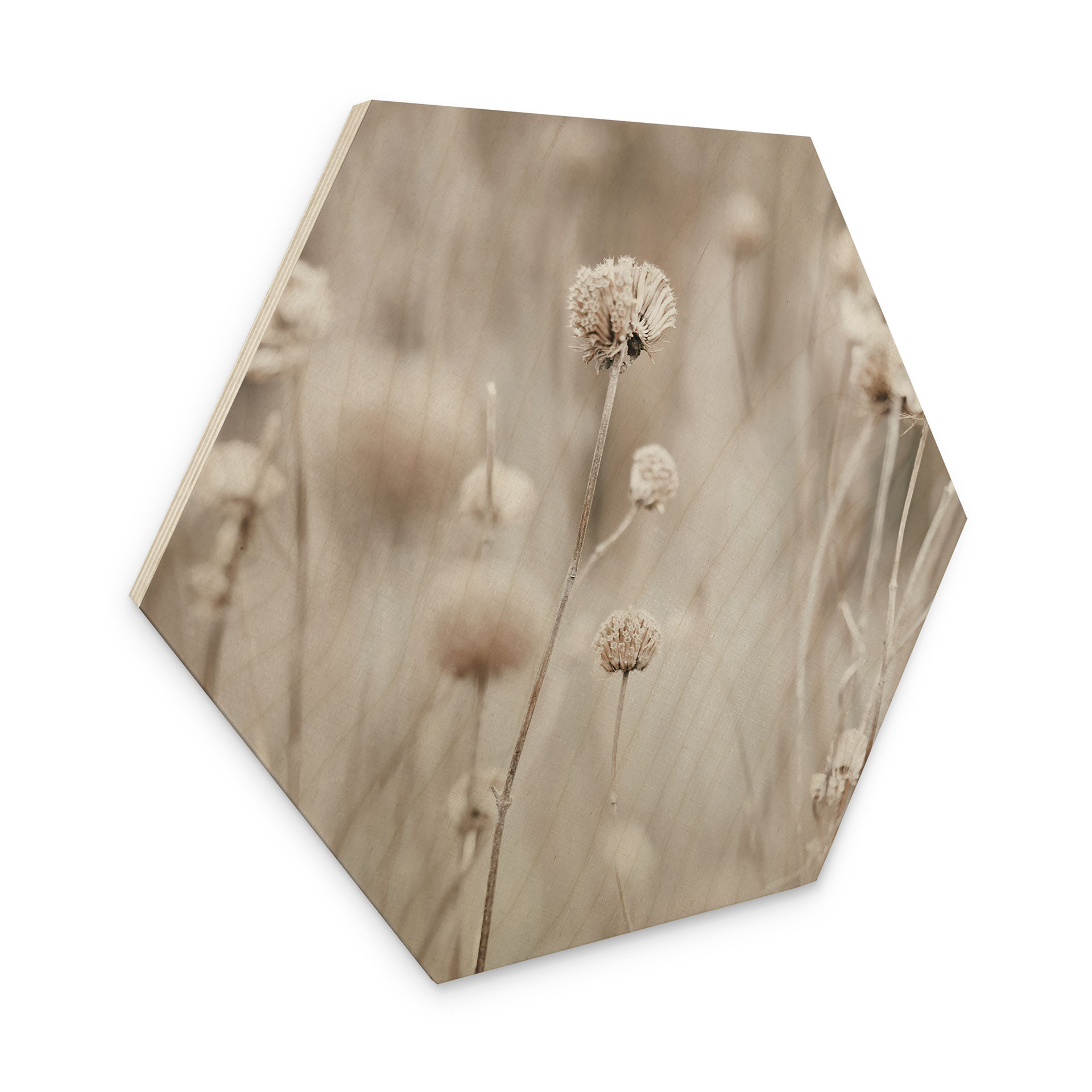 Stampa esagonale su legno Fiori secchi in toni tenui - Annie