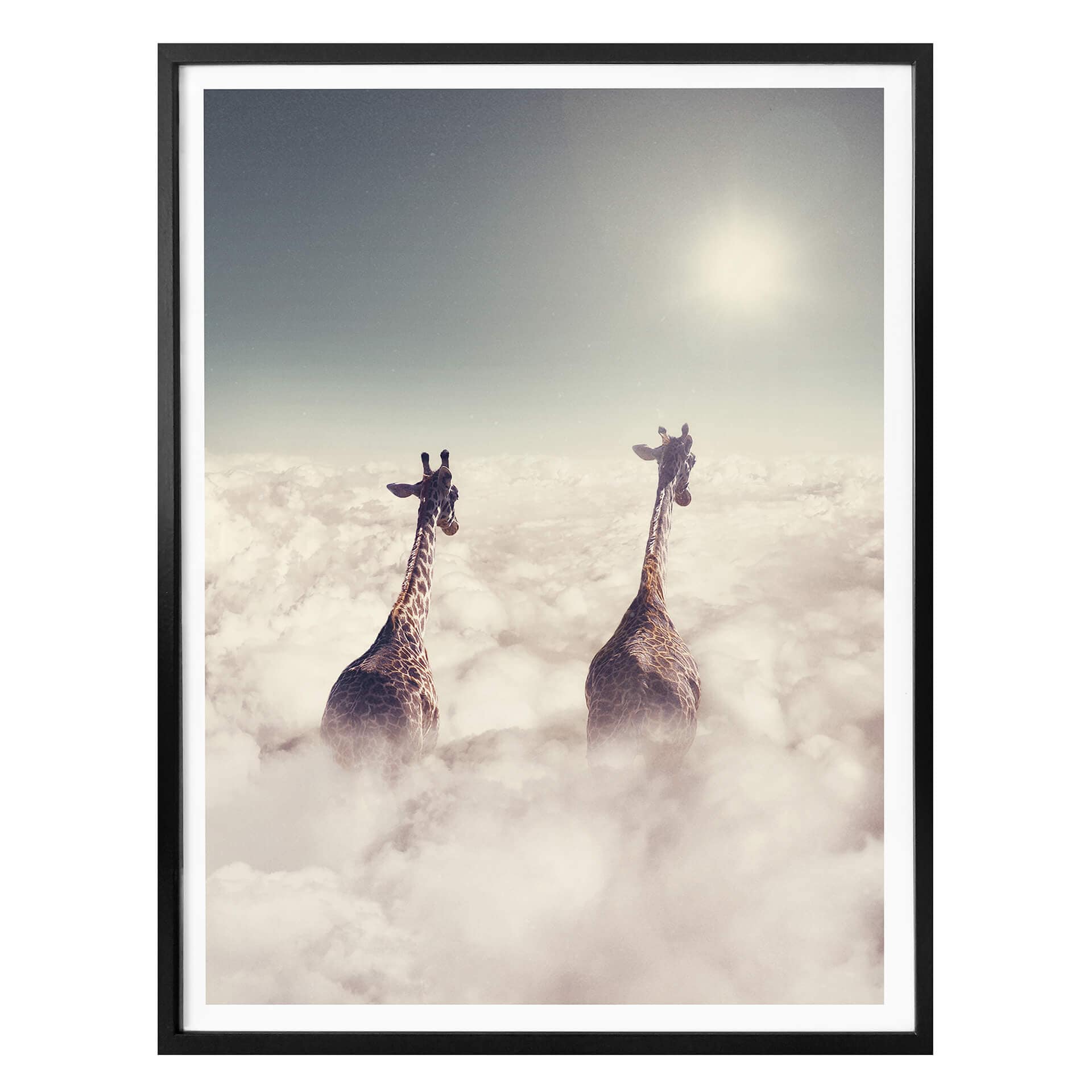 Plakat Loose - Gigantyczne żyrafy
