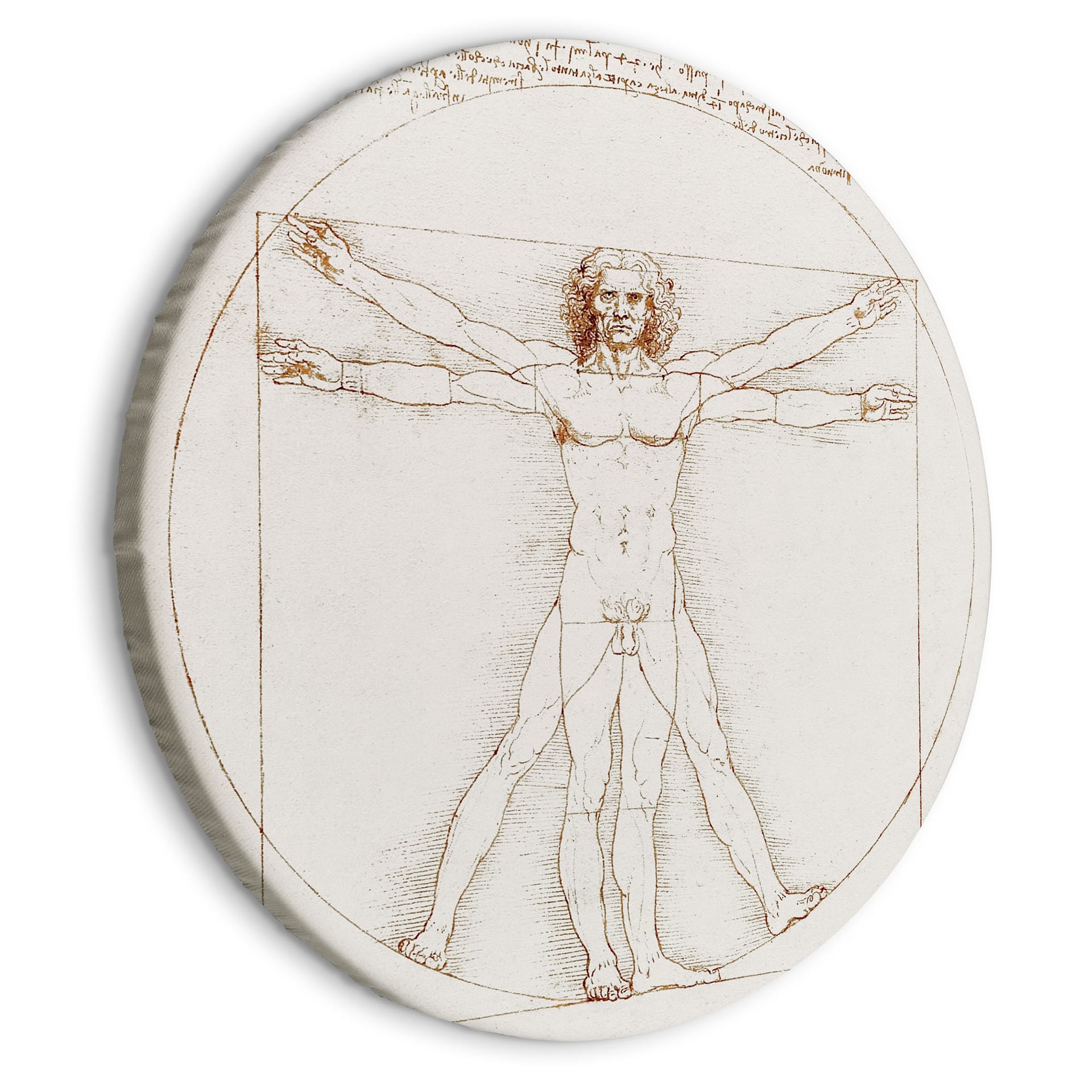 Rundes Leinwandbild Da Vinci - Proportionszeichnung | Vitruvianischer Mensch