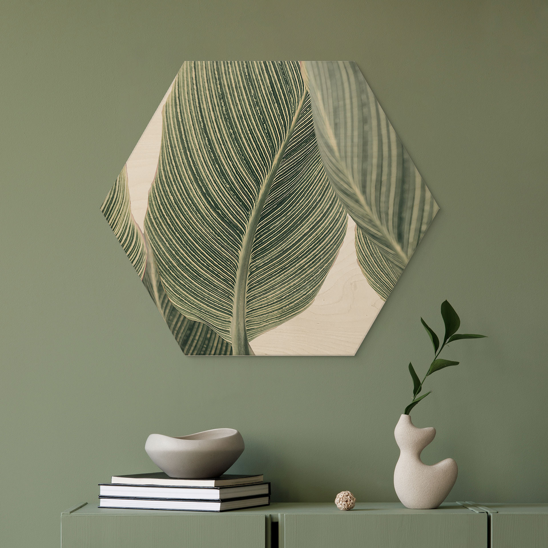 Esagono in legno Pianta di calathea - Sisi & Seb
