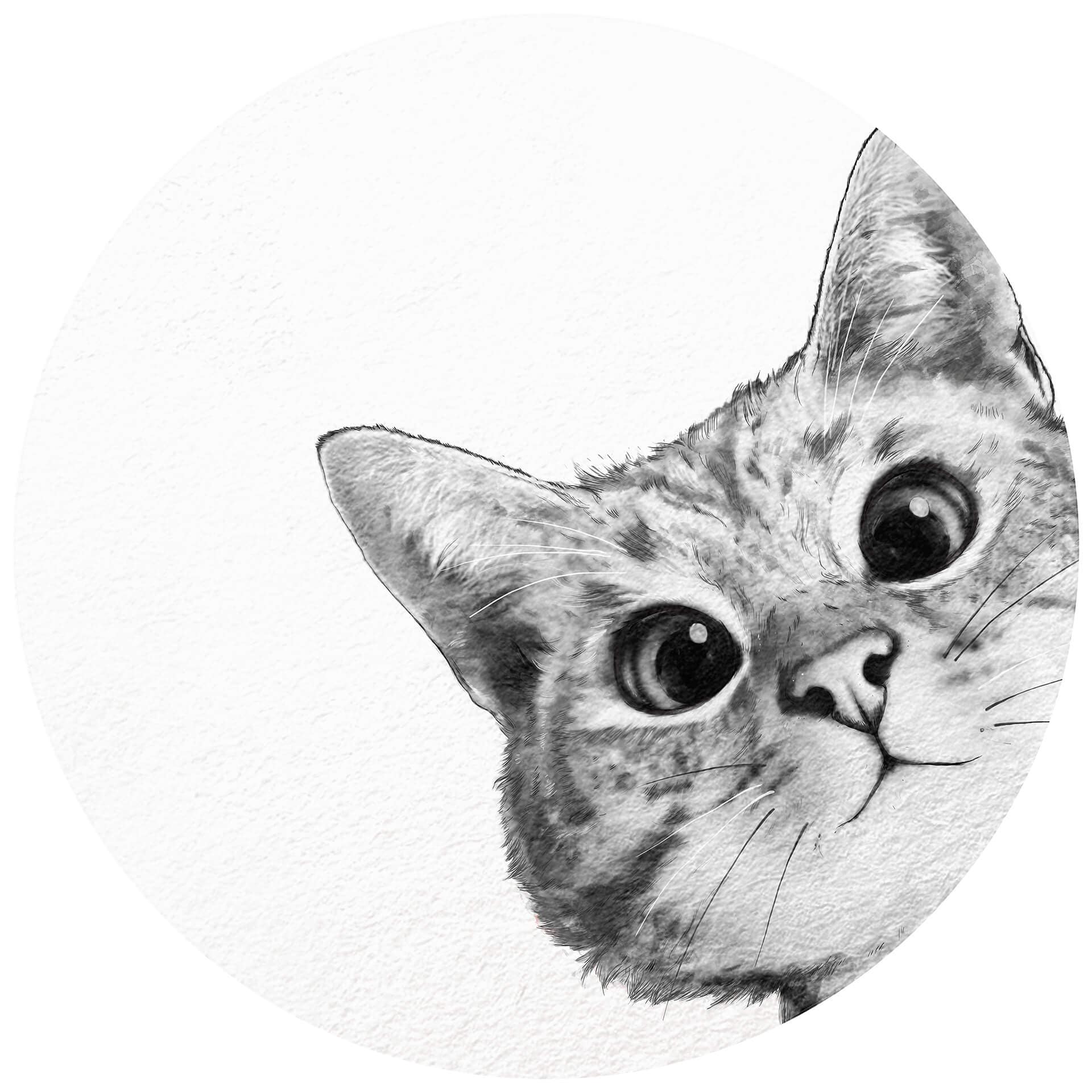Behangcirkel Graves - Sneaky Cat - vliesbehang/zelfklevend vliesbehang