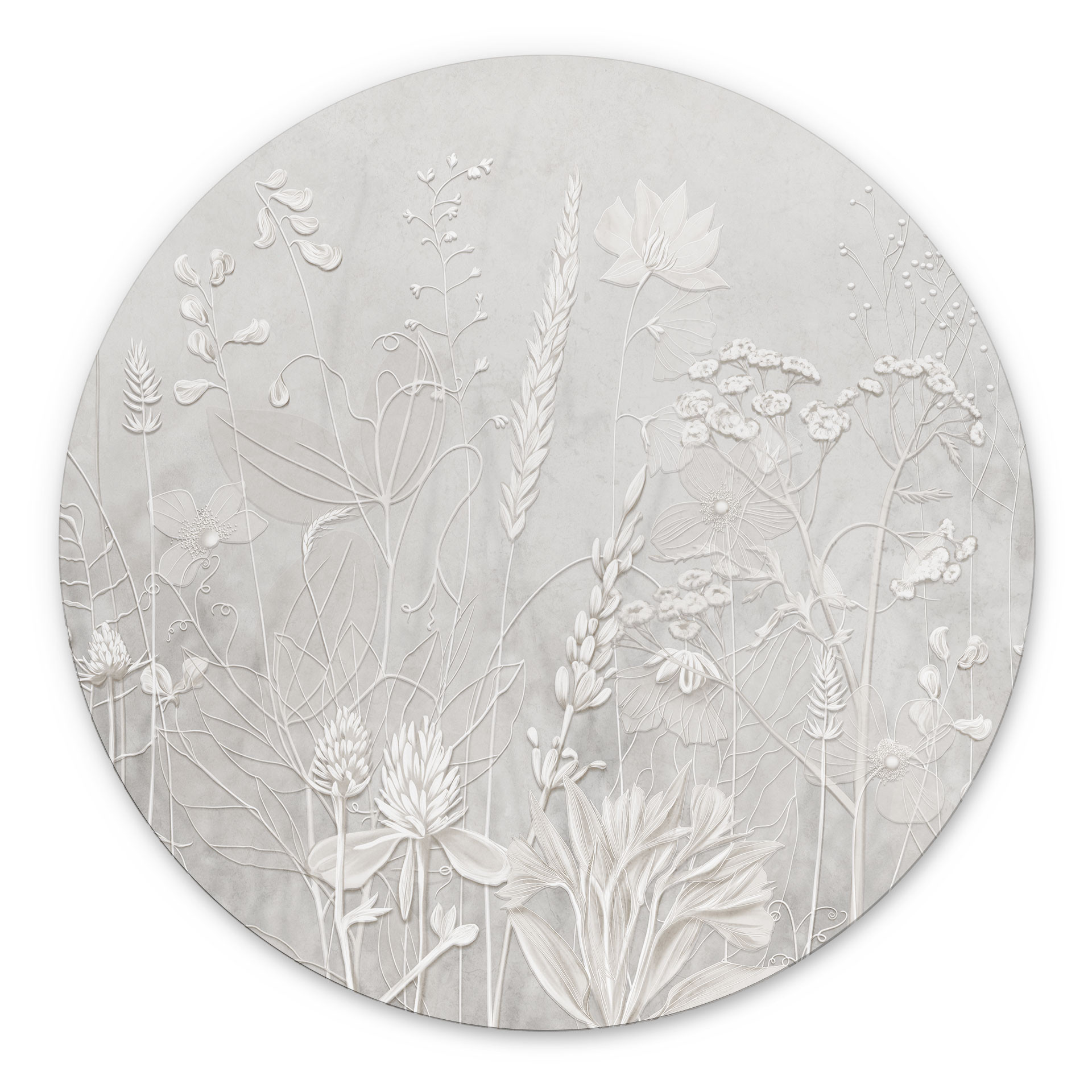 Wanddecoratie planten in wit in modern design - Ms Tiff - Alu-Dibond rond