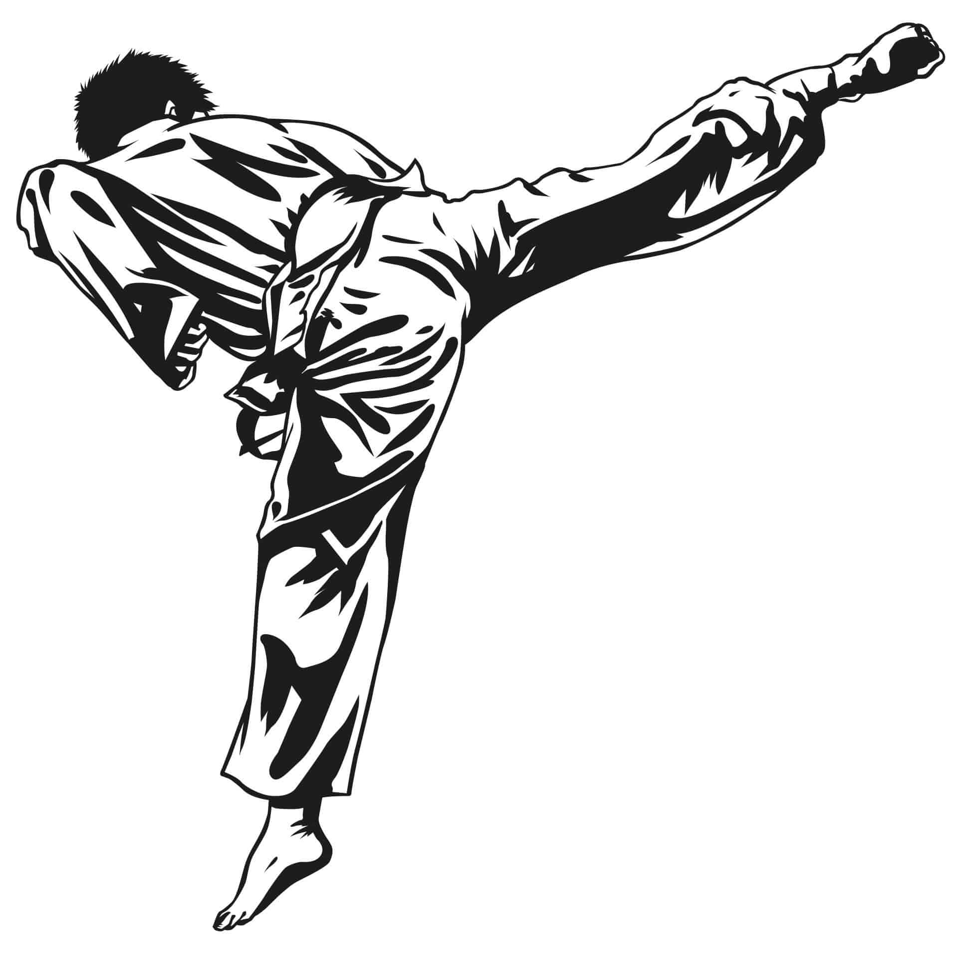 Sticker mural - Joueur de karaté