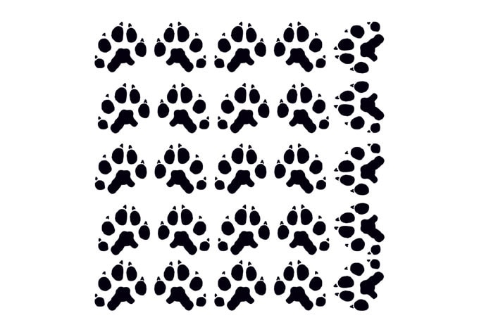 Adesivo murale - Zampe di gatto