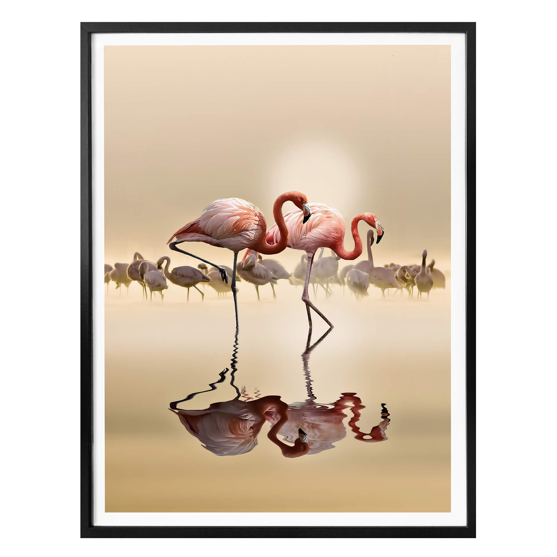 Plakat Osman - Flamingo