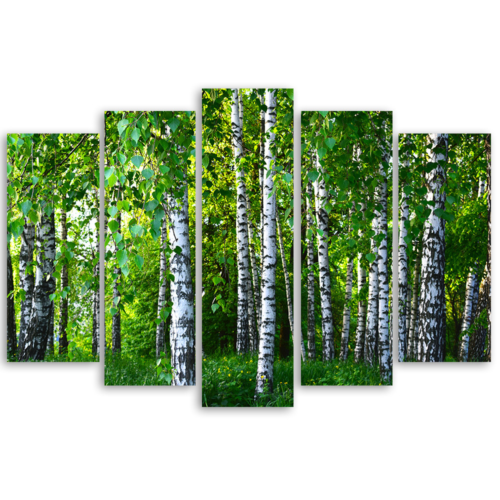 5 stykke lærredsprint, Birch Forest Green