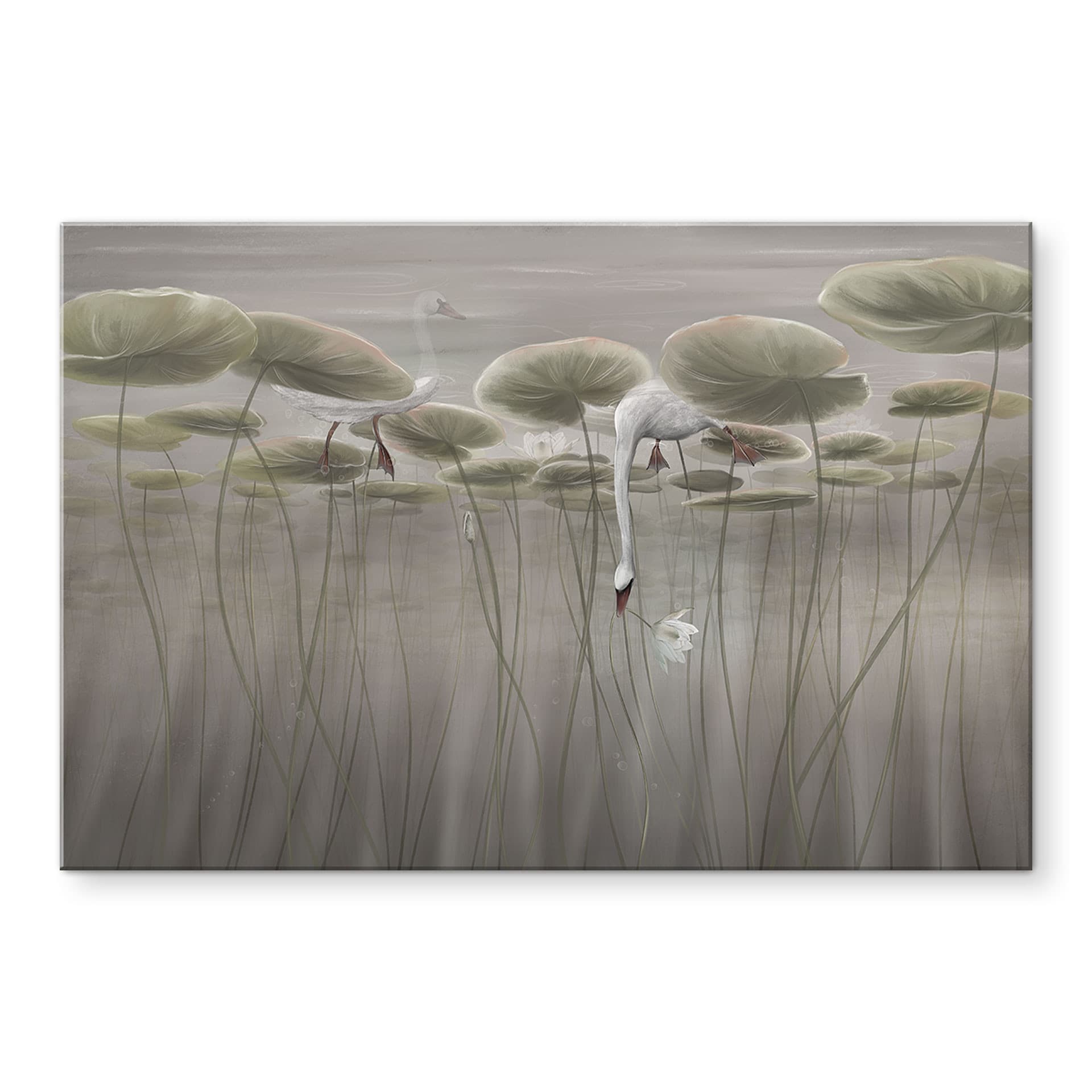 Spatscherm Lotusbloemen met zwaan in water in grijs - Ms Tiff