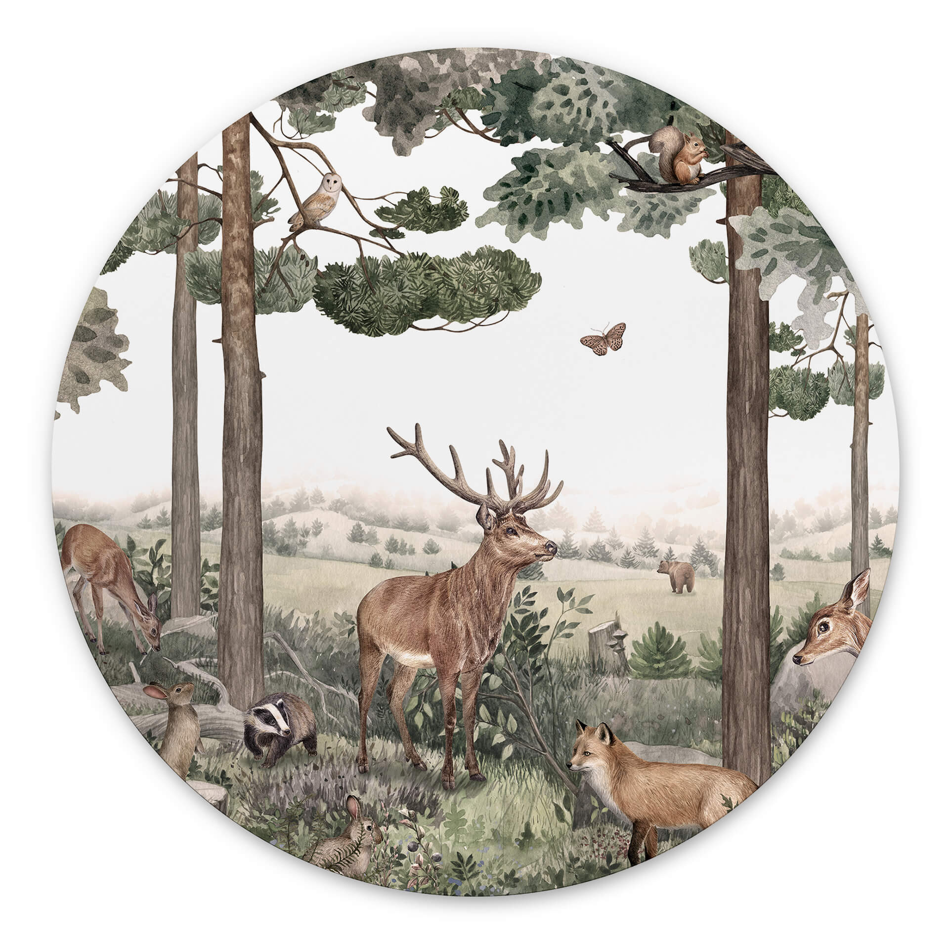 Tableau sur alu-Dibond rond Kikki Belle - Animaux indigènes dans la forêt
