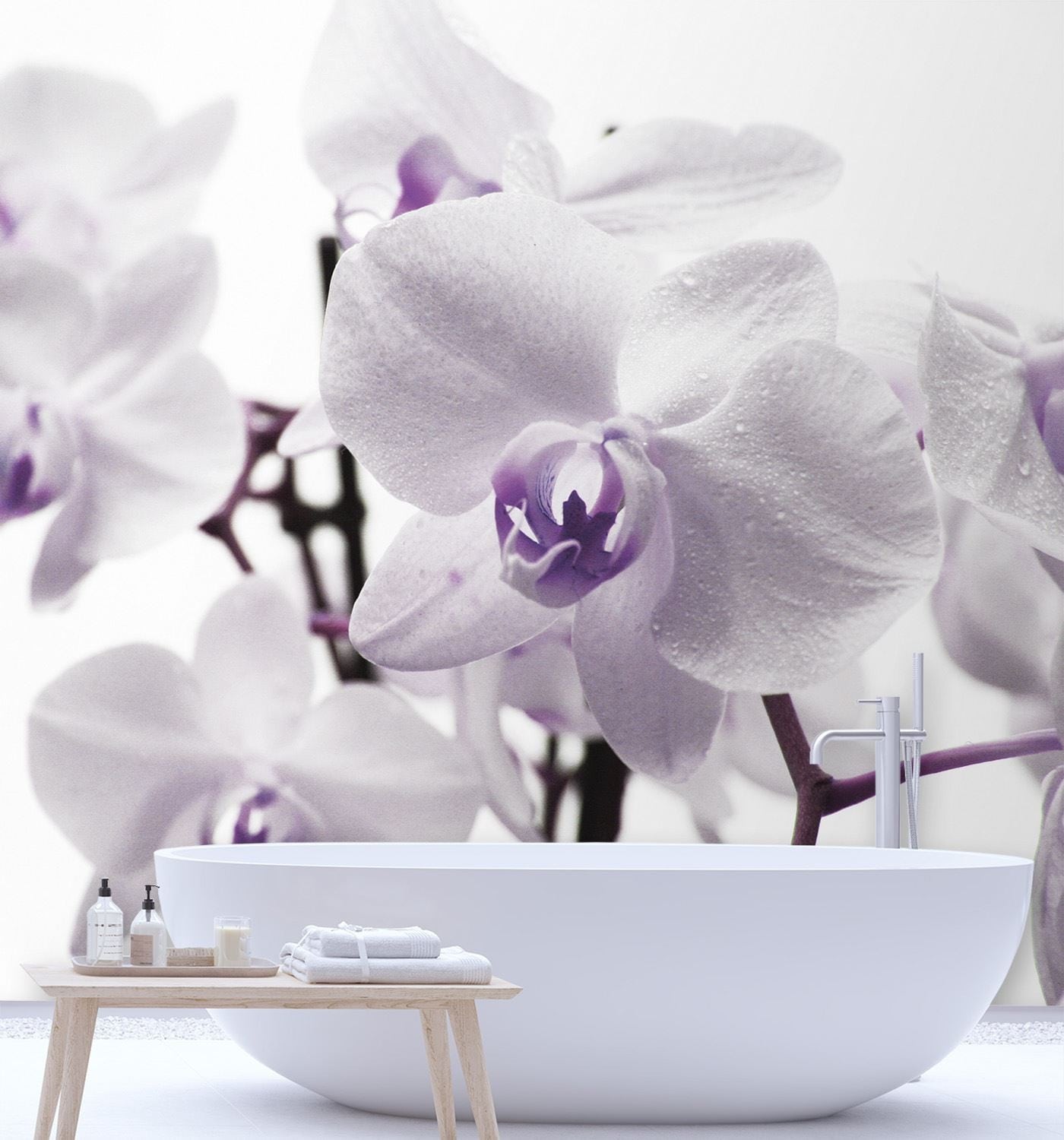 Fototapete, Lila Orchidee Blütenblättern
